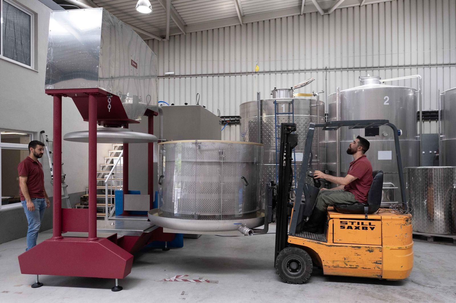 La vendimia de la Serranía, en imágenes