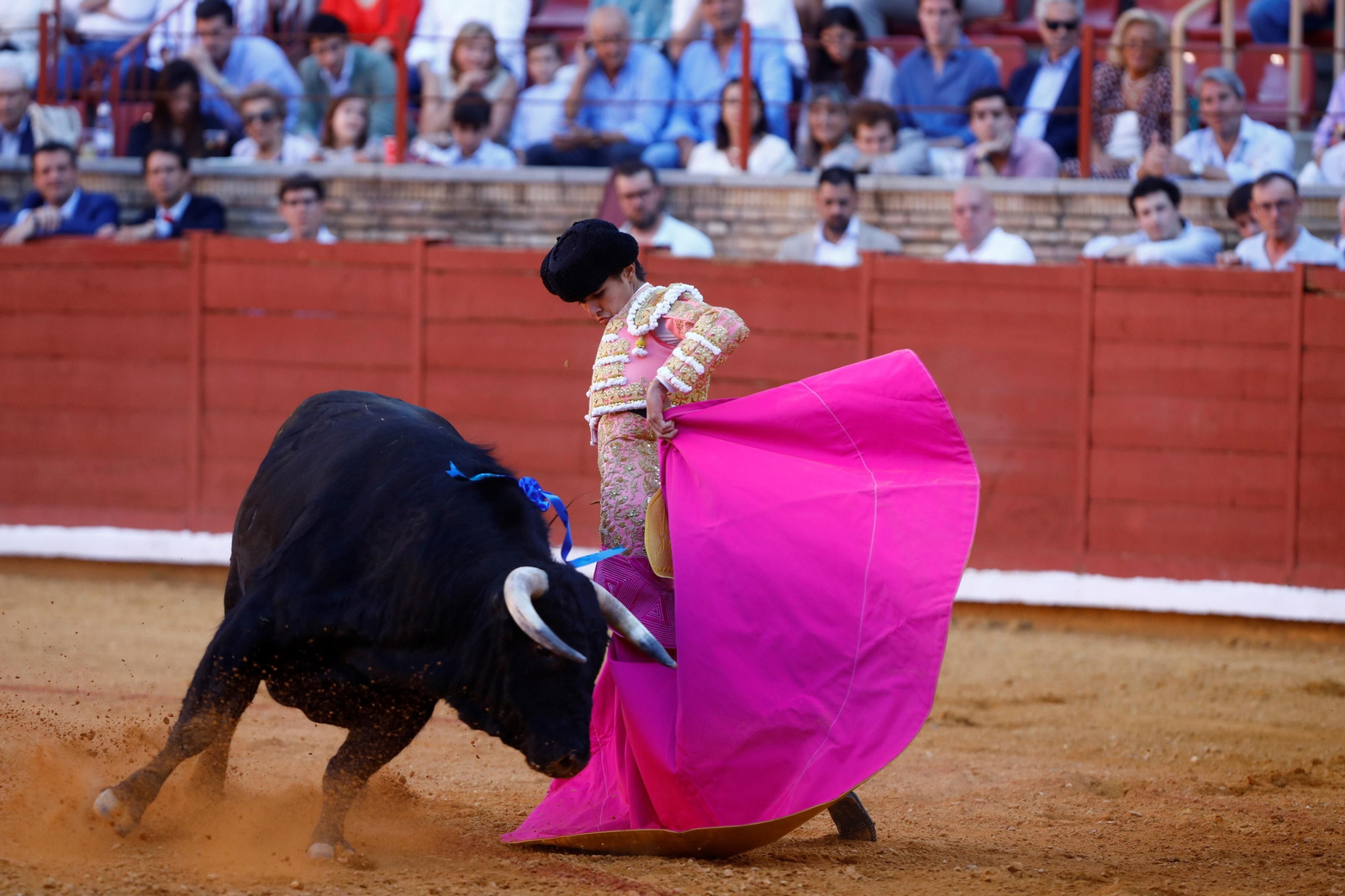 La presentación del novillero Manuel Román en Córdoba, en imágenes