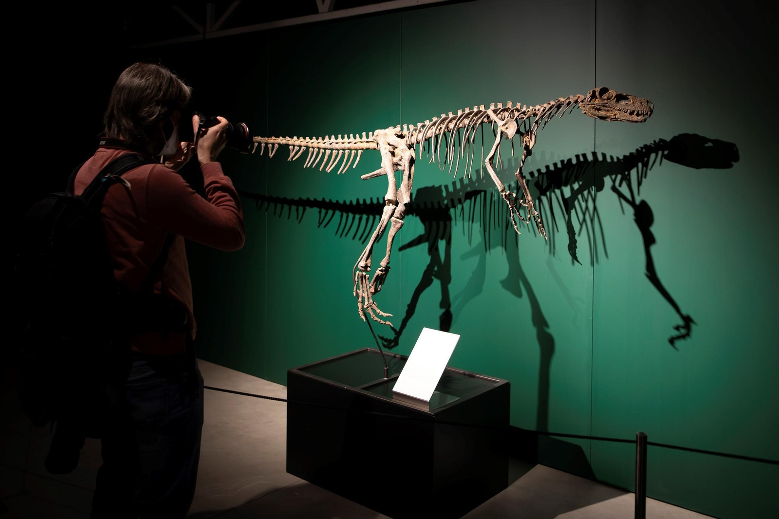 Así se han apoderado los dinosaurios del Parque de las Ciencias de Granada
