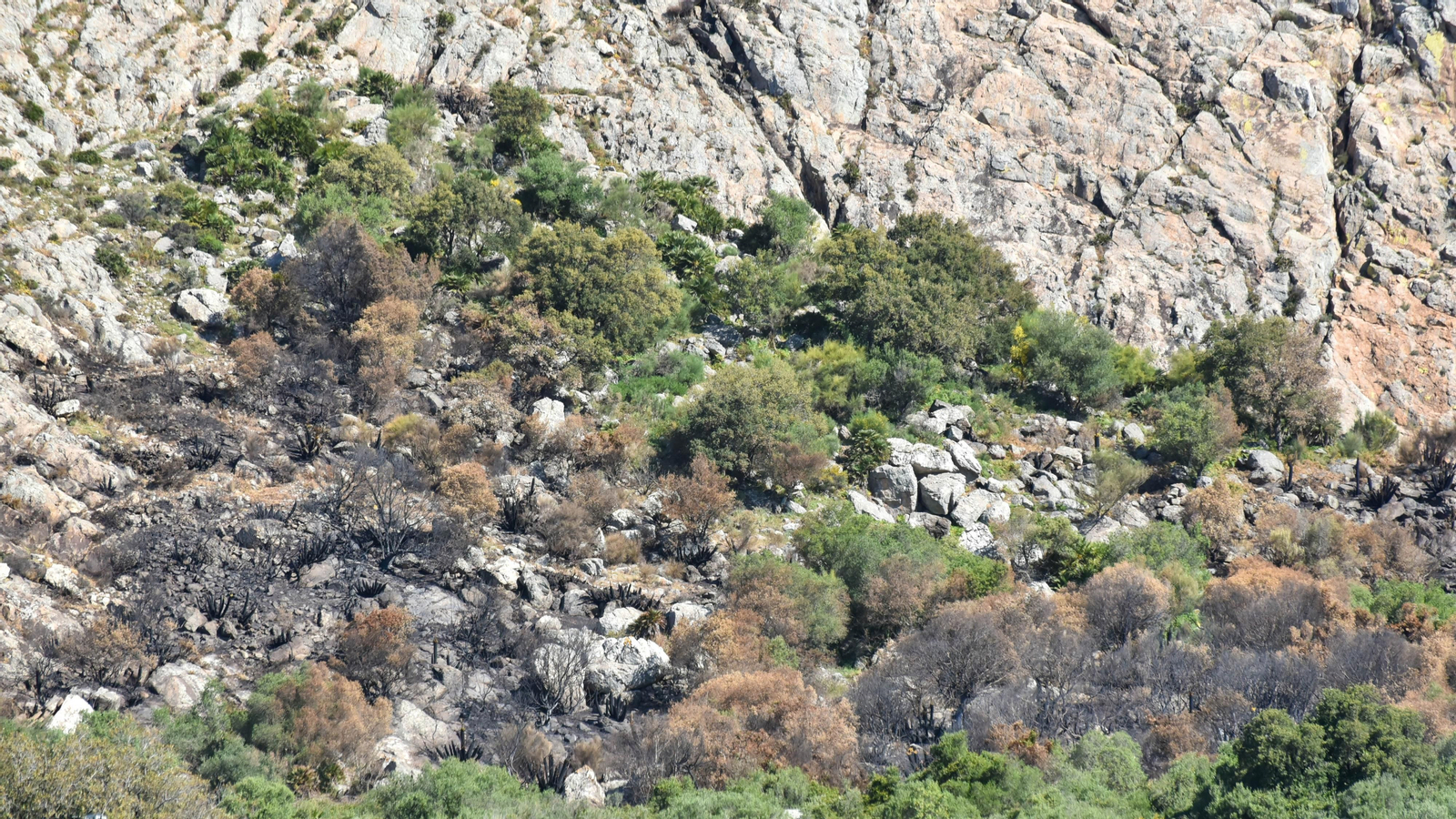 Fotos de la zona de Betijuelos incendiada