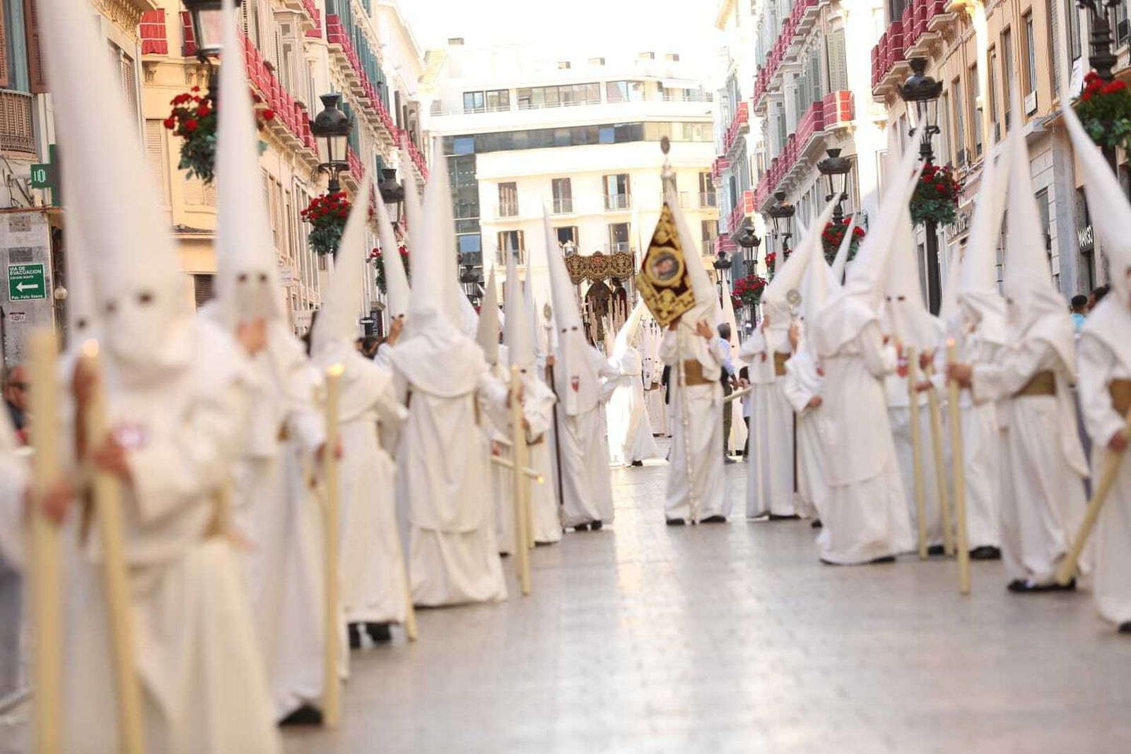 Las fotos de Humildad en el Domingo de Ramos en Málaga
