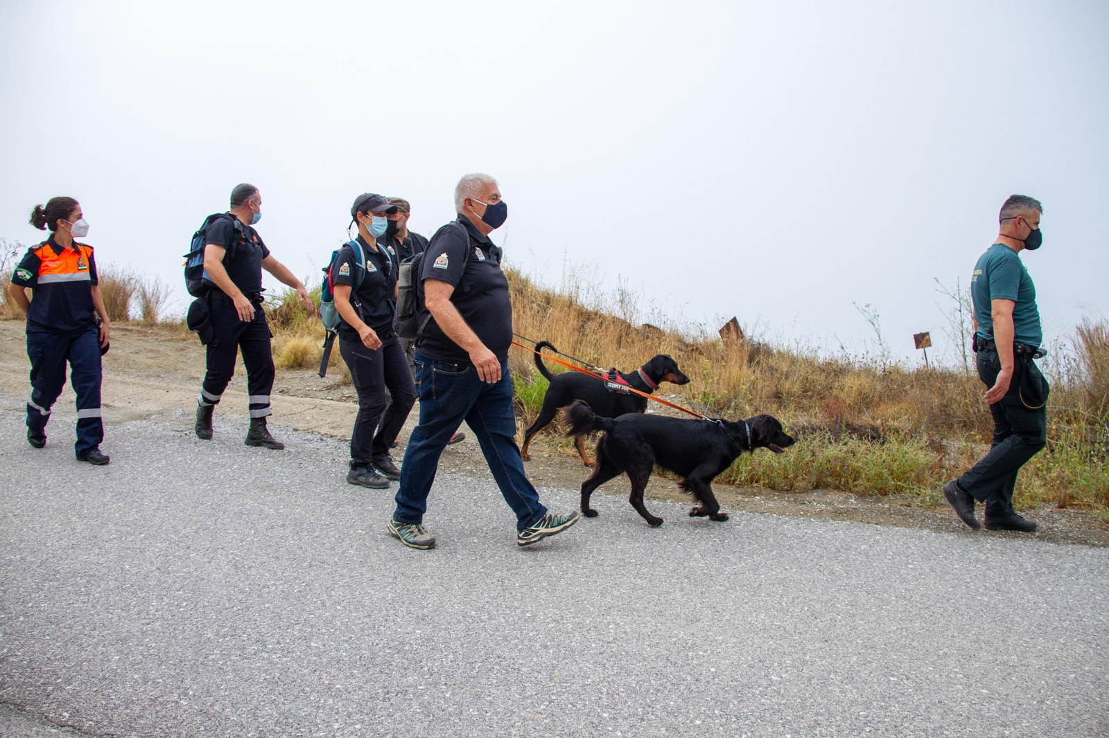 La patrulla canina durante el rastreo en Sorvilán