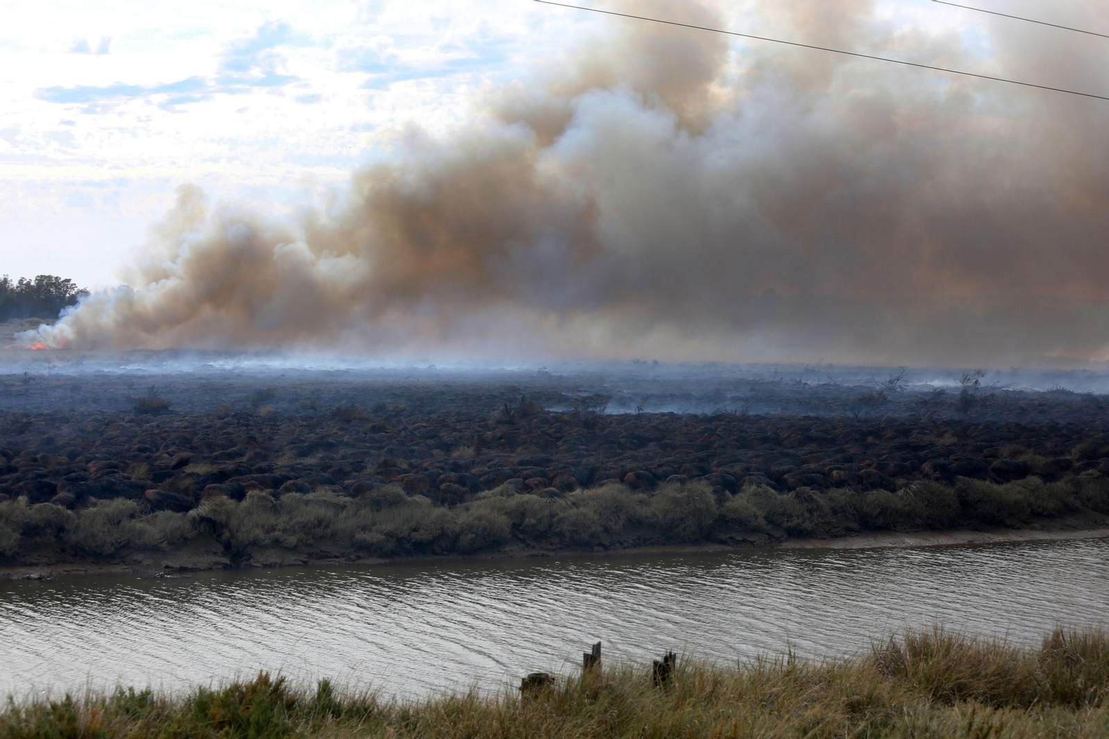 Imágenes del incendio declarado en marismas del Odiel