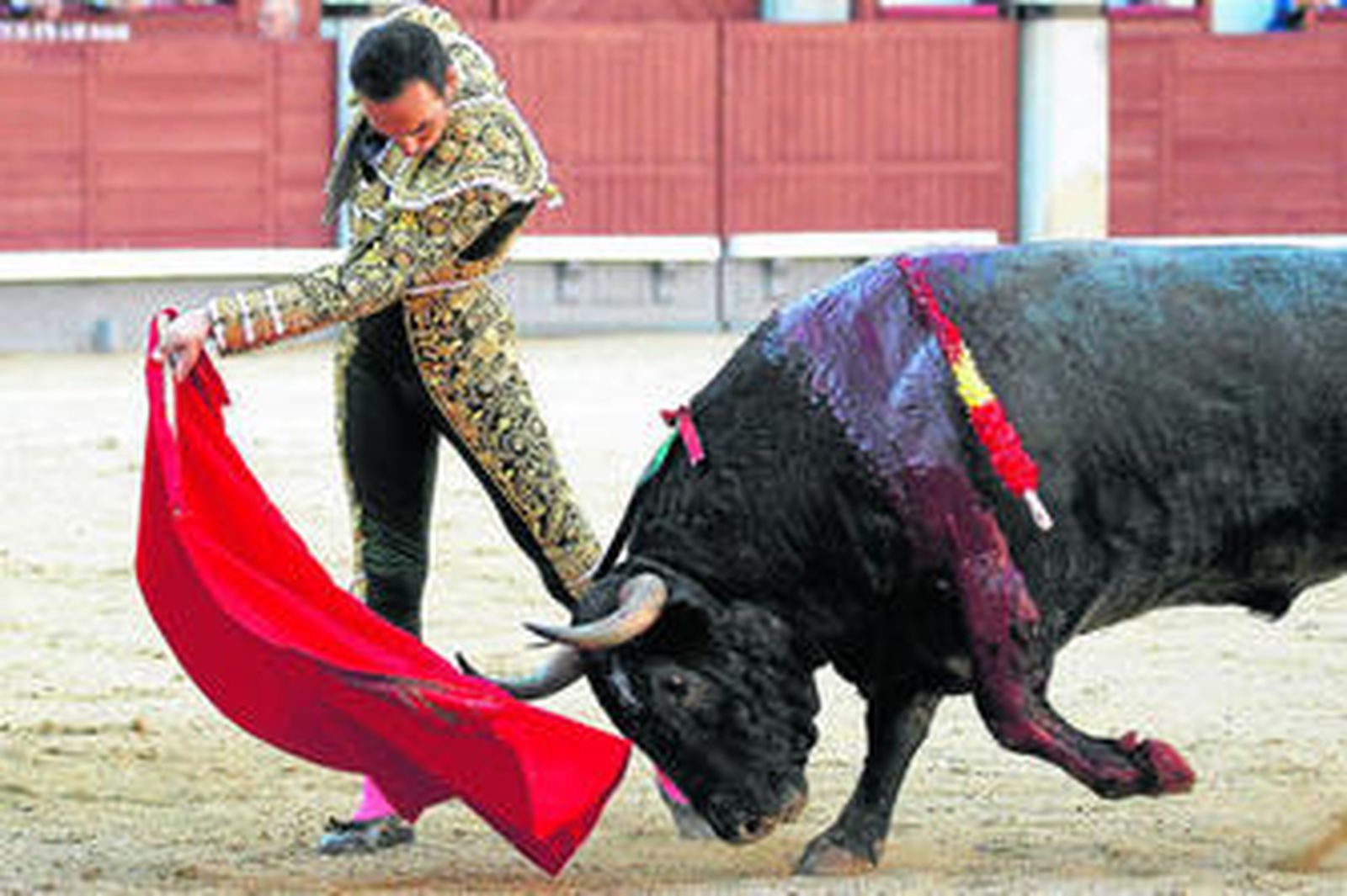 Manuel Jesús 'El Cid', ayer, en el inicio de un pase de pecho a un 'adolfo' en Las Ventas.