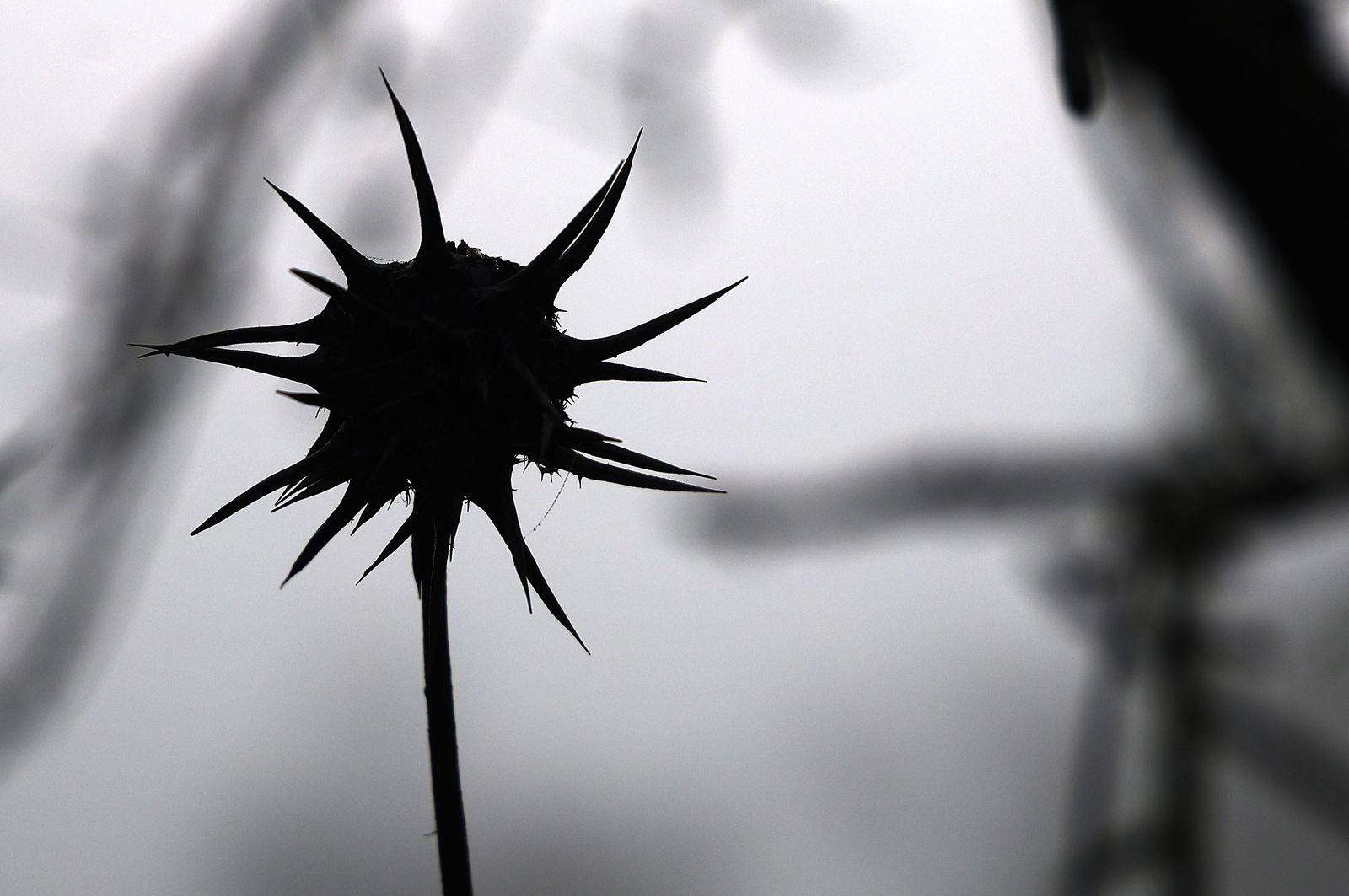 Imágenes de la densa niebla con la que han amanecido varios municipios de Huelva