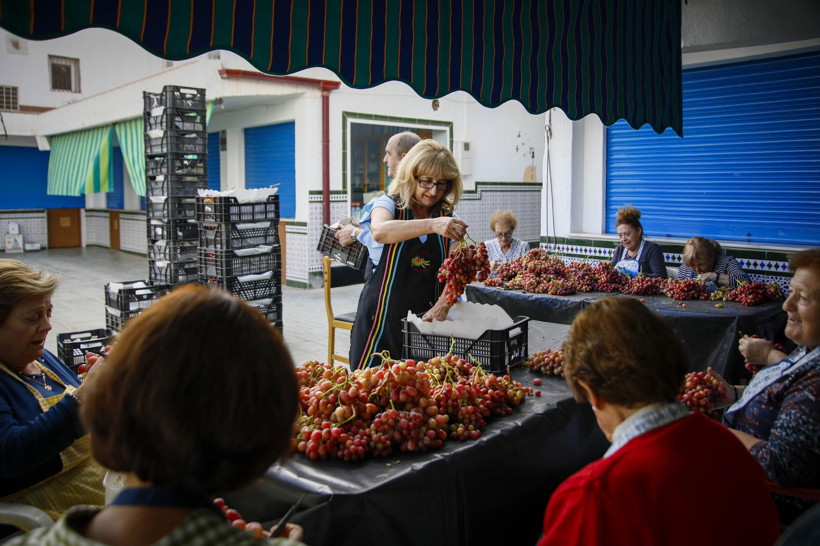 La tradicional faena de la uva de Canjayar, en imágenes