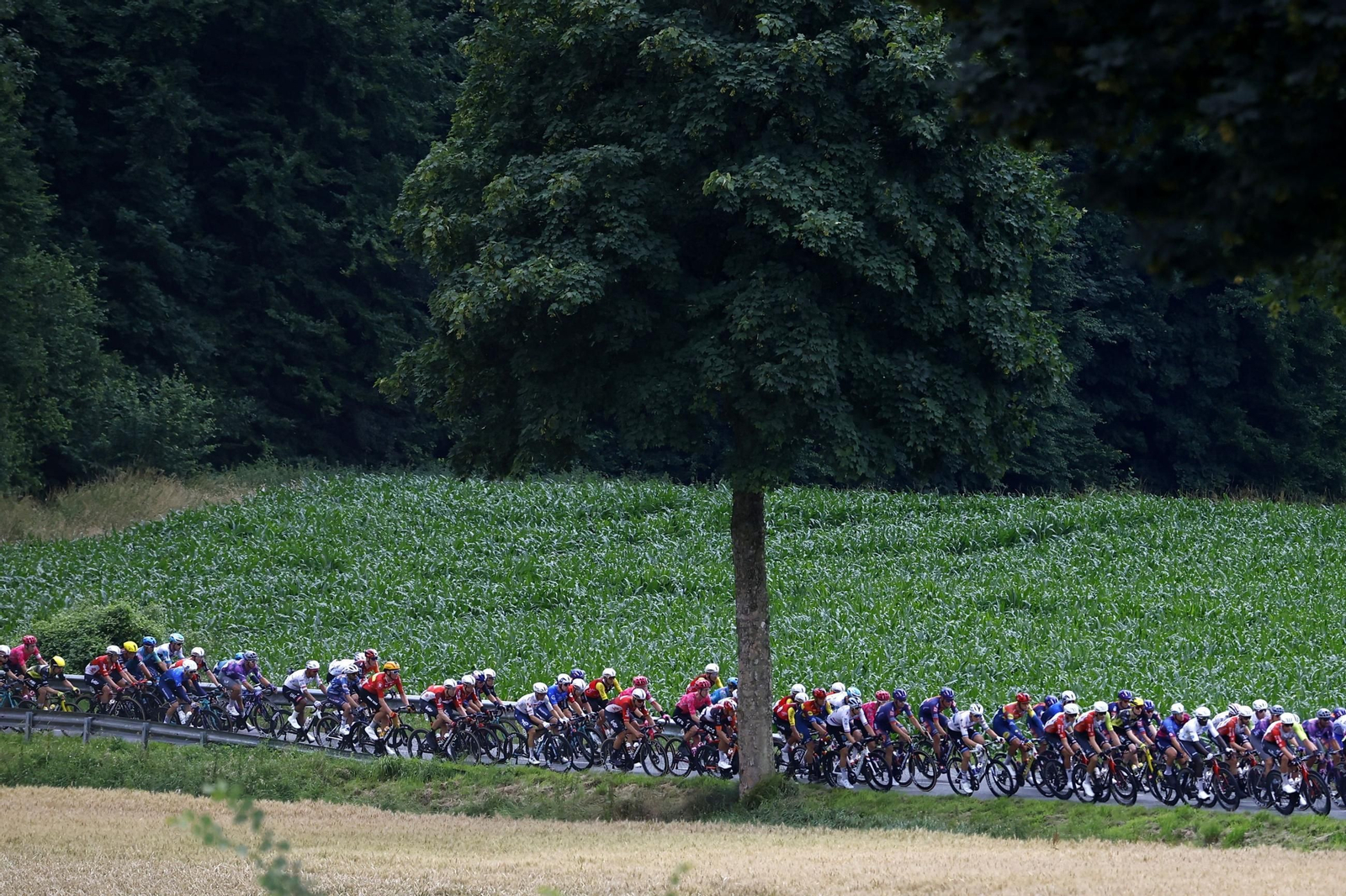Las mejores fotos del Tour de Francia | Etapa 2
