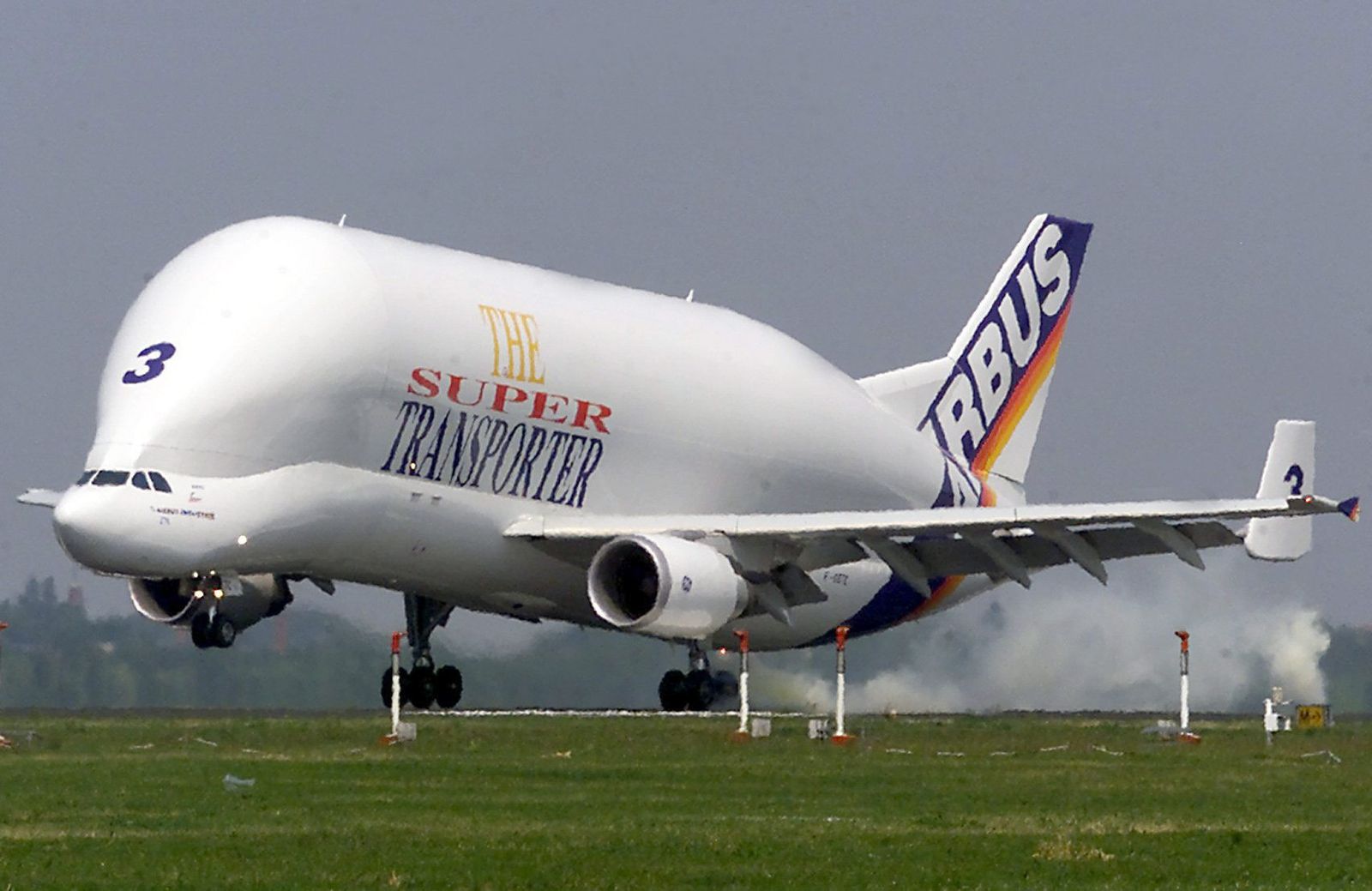 En España, entre el año 2020 y 2021 el total de visitantes se redujo hasta en un 50 %.