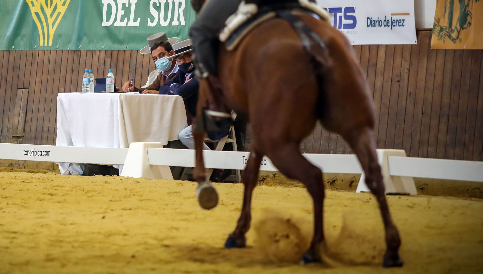 XIV Copa del Rey de Doma Vaquera y exhibición de la Real Escuela Andaluza del Arte Ecuestre