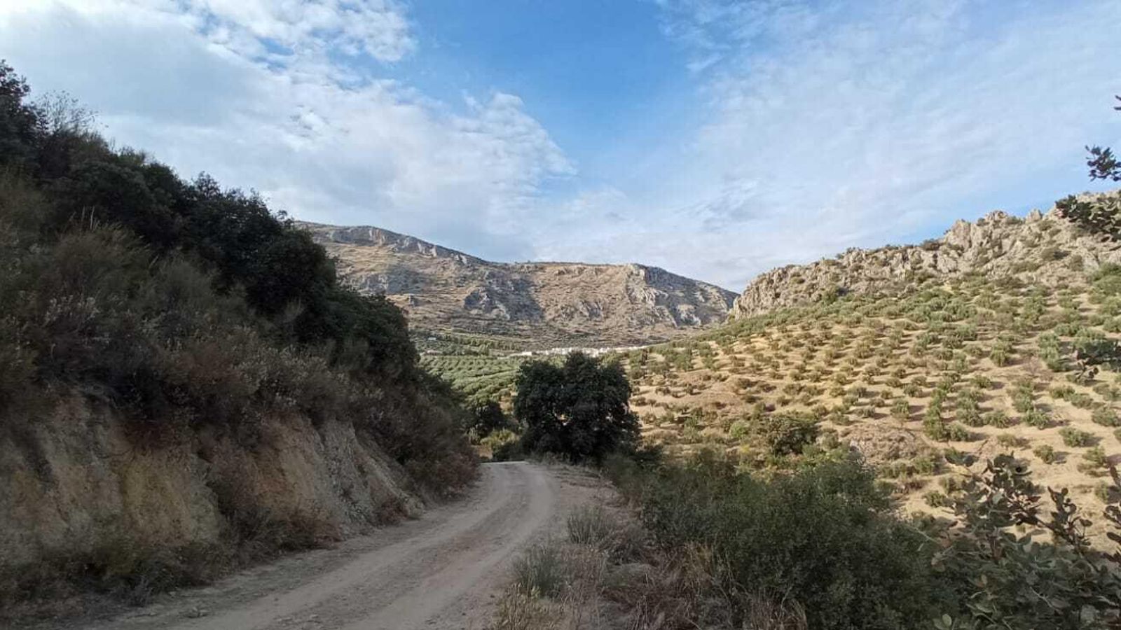 Las imágenes de la Ruta Zagrilla Baja - Esparragal - Zagrilla Baja