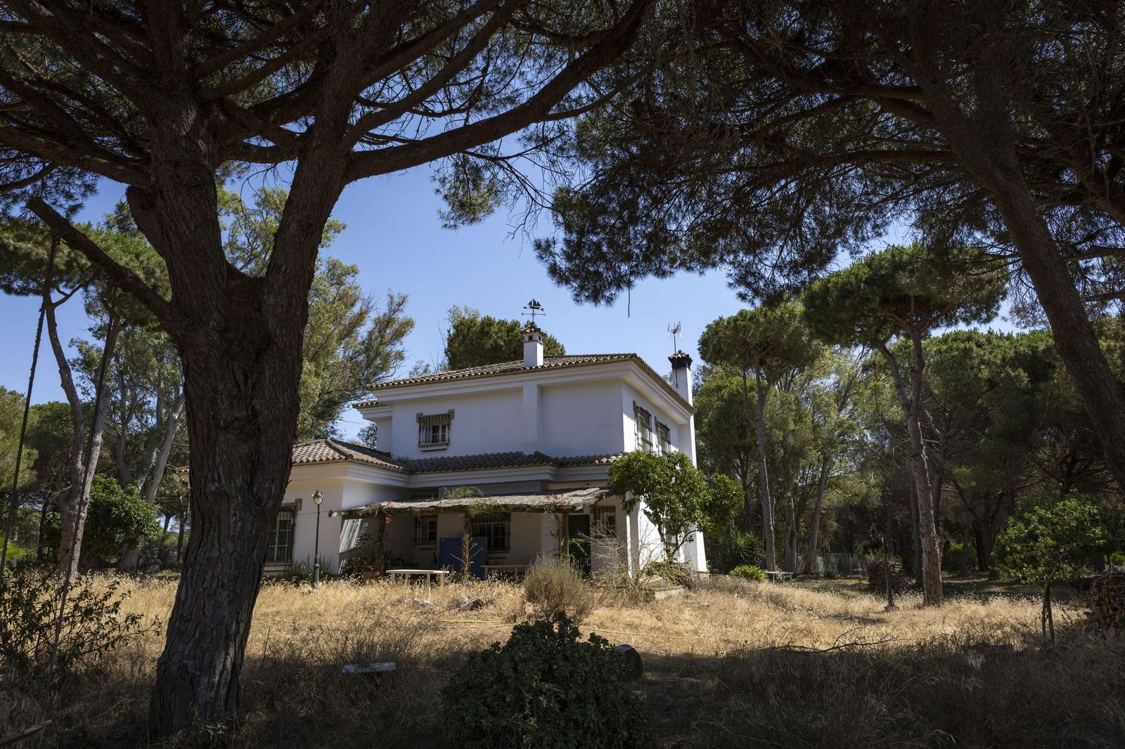 Las imágenes del fuego de la carretera de la Barrosa, con casas afectadas