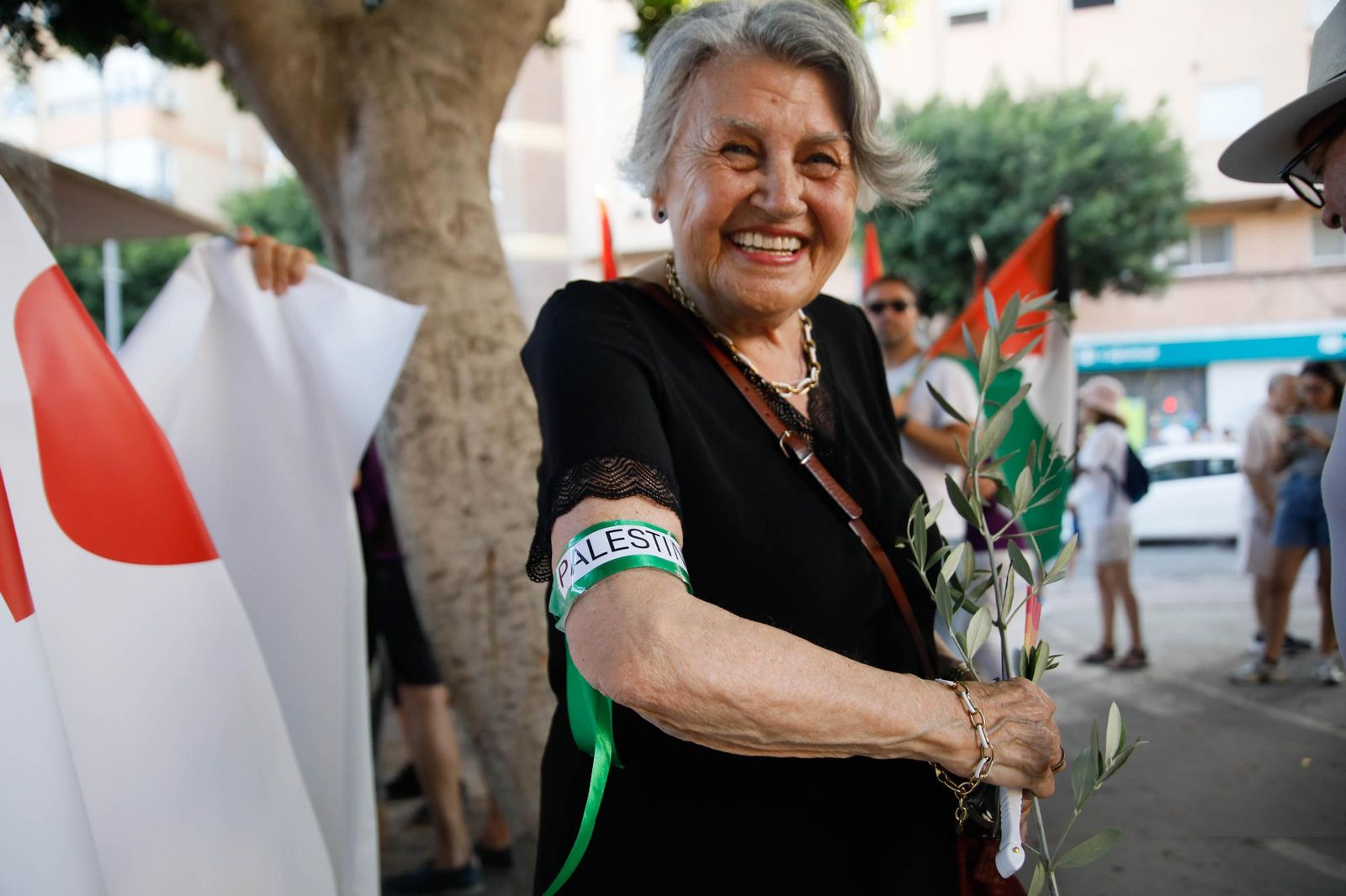 Imágenes de la manifestación en Almería por el genocidio en Palestina