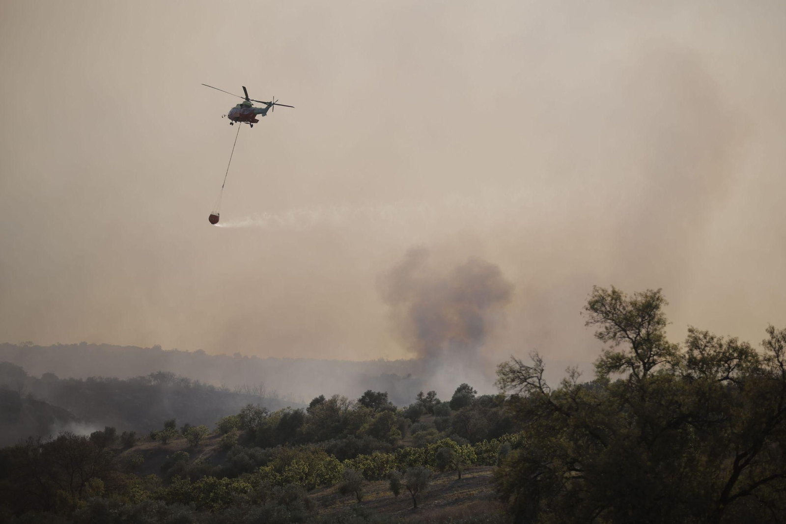 Las imágenes del incendio en Bonares en el que actúan cerca de 20 medios aéreos