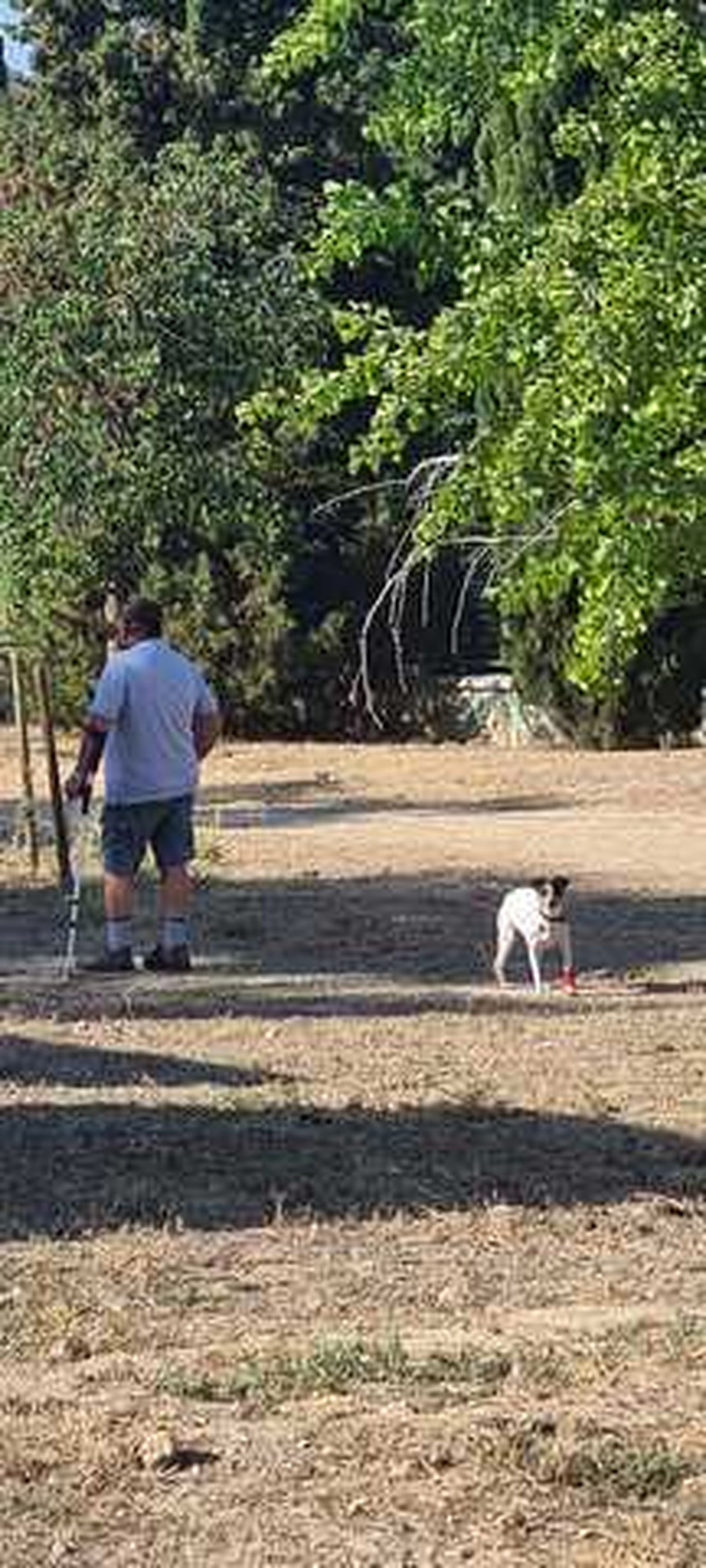 Lazos invisibles, dolor compartido