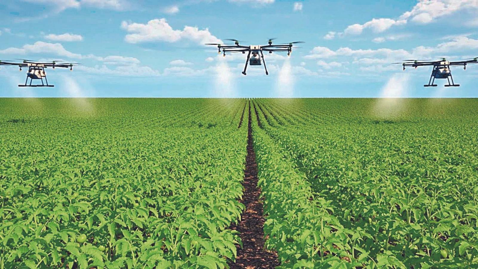 Incorporación de drones a las labores agrícolas