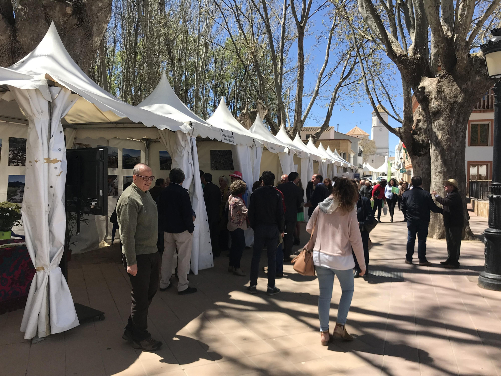 Imágenes de Terracultura 2019, en Chirivel