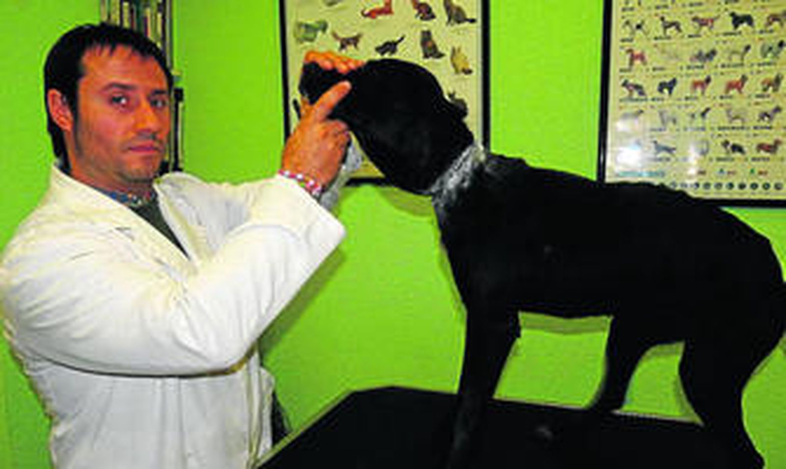 El veterinario Enrique Montero junto a Lana, después de recuperarse de sus heridas.