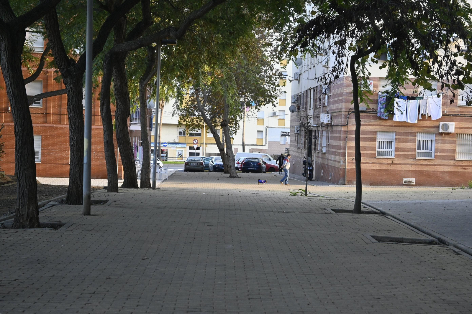 Barrio a barrio: Imágenes de Los Rosales