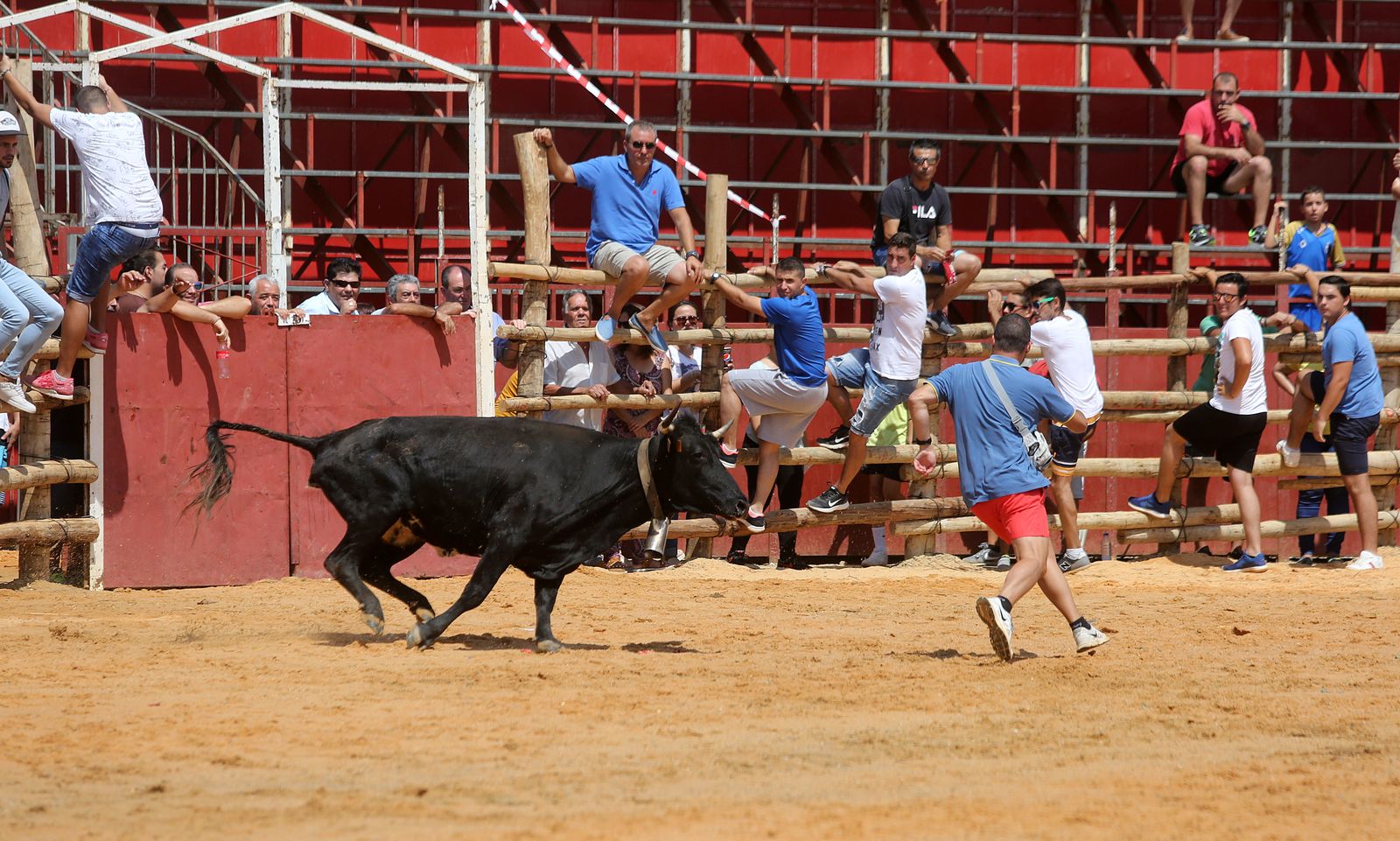 Capeas de Trigueros en imágenes
