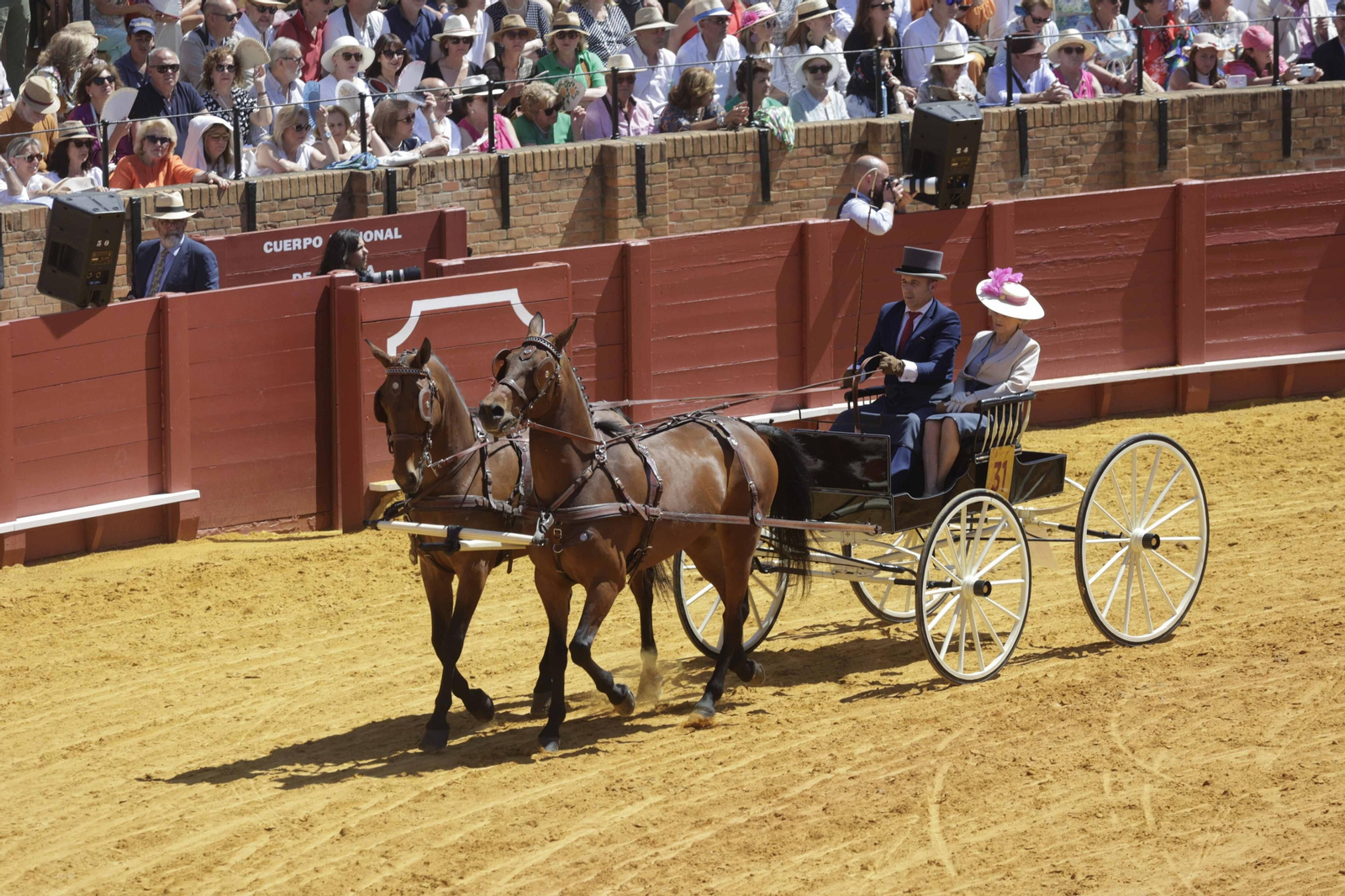 Las imágenes de la exhibición  de enganches en la Maestranza