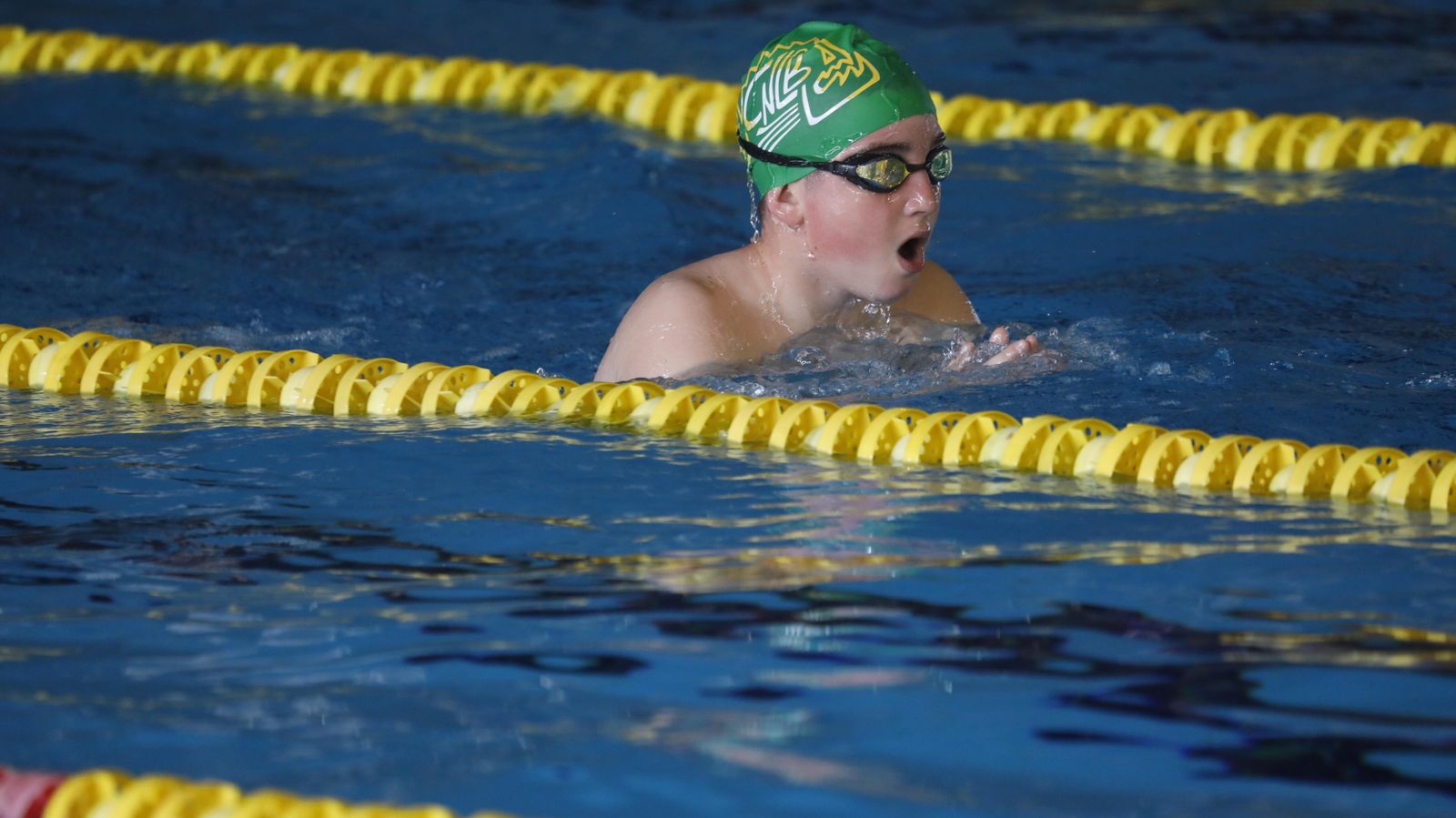 Las fotos del torneo de natación en Los Barrios