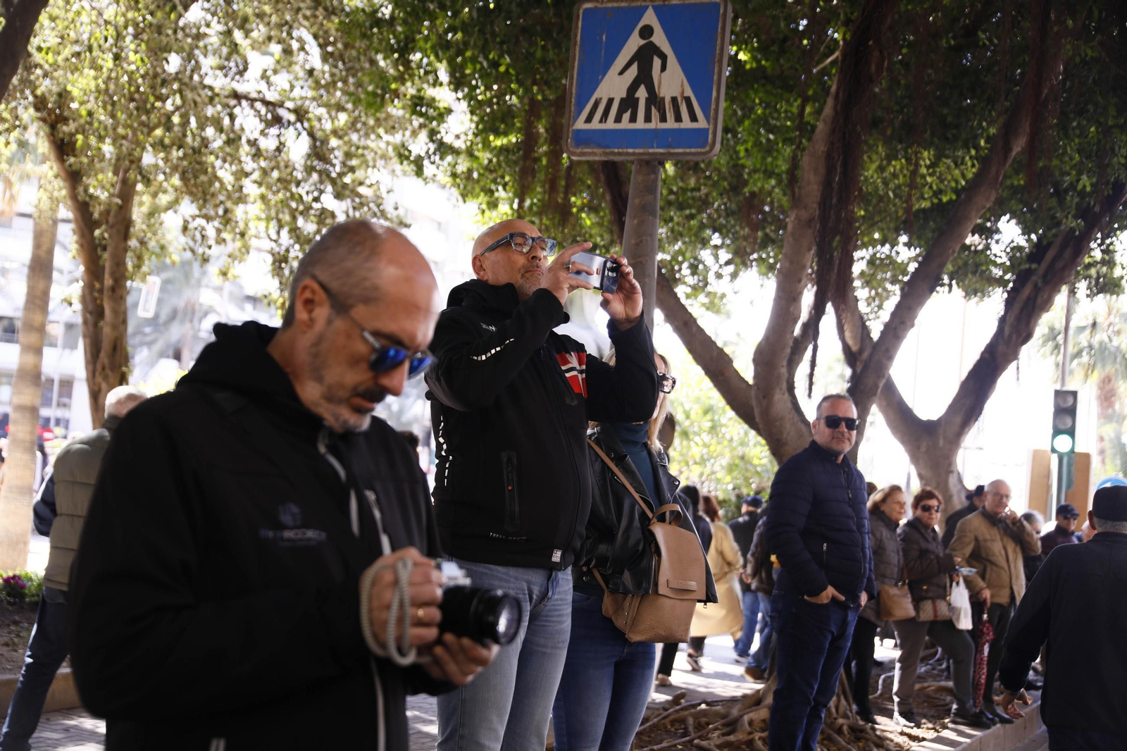 Las imágenes del entierro de la sardina en Almería