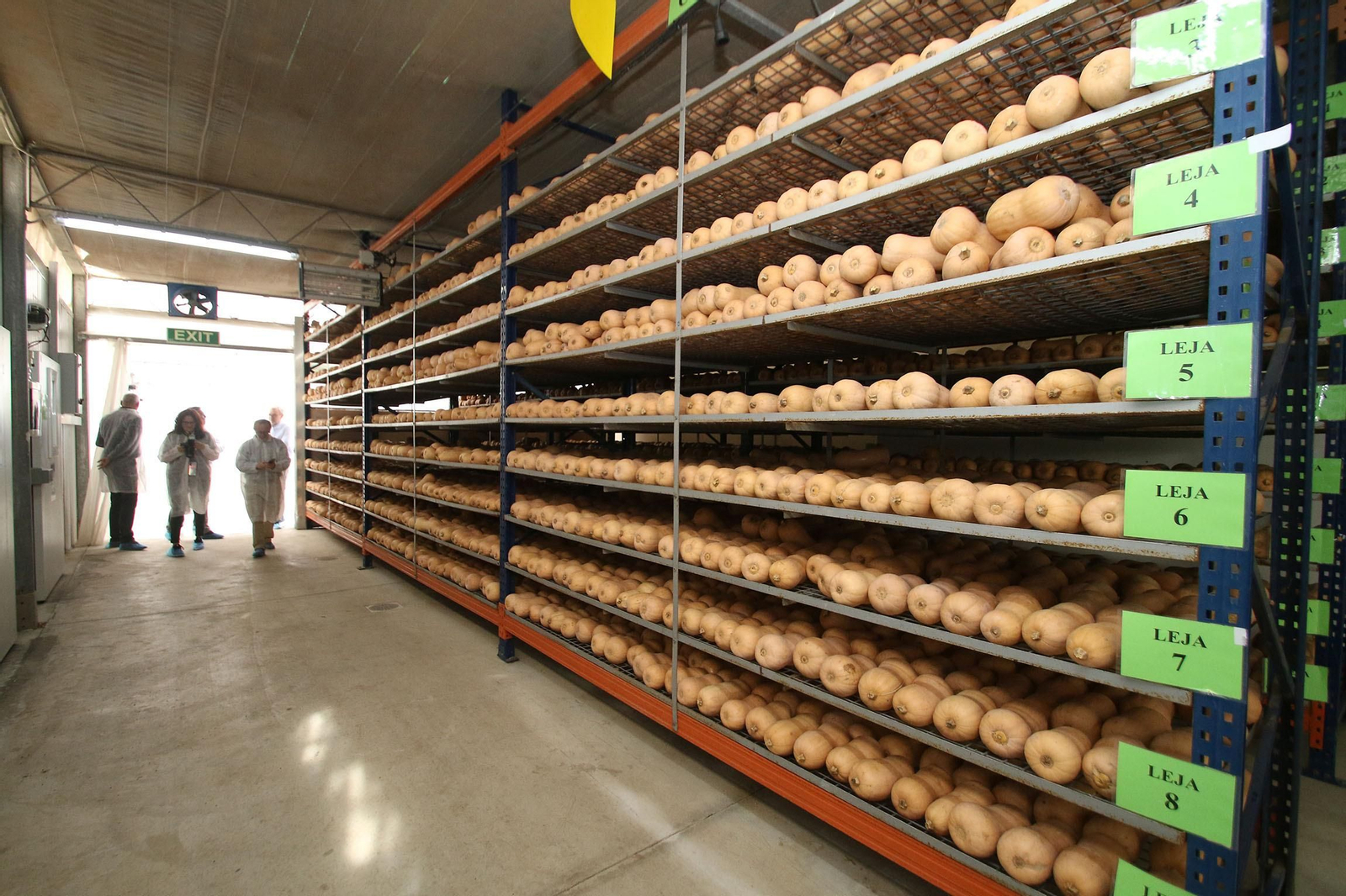 Fotogalería de la visita guiada a las instalaciones de Koppert en Águilas