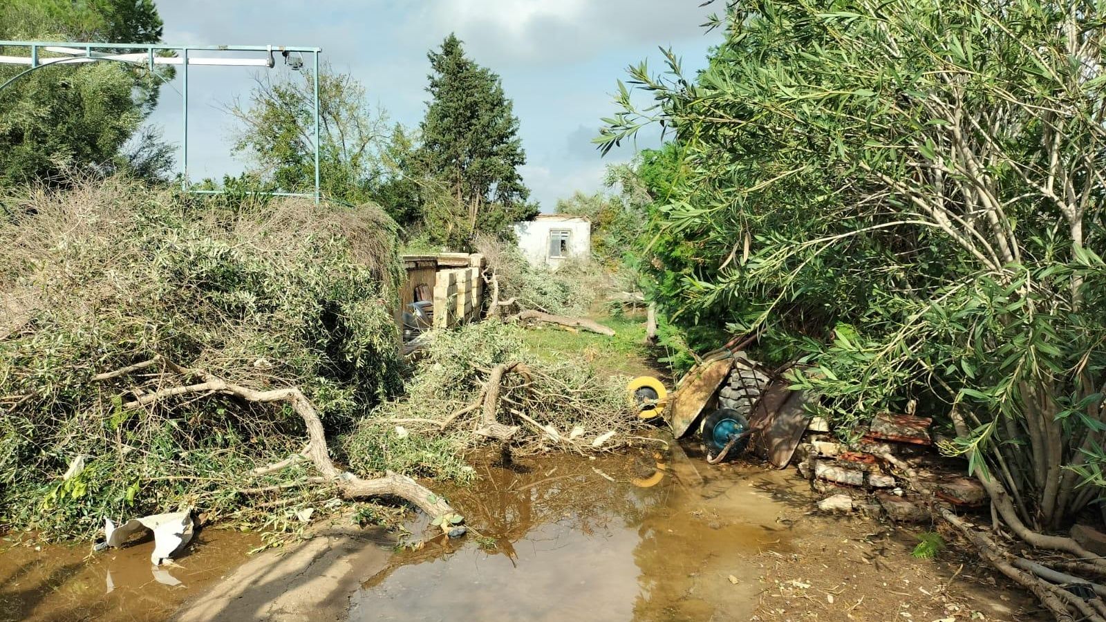 La urbanación afectada