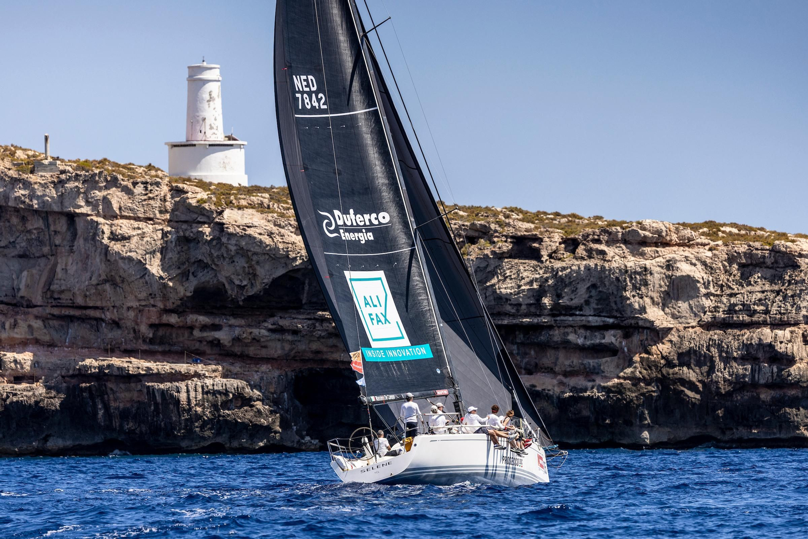ORCA A Vela Regata (27).jpg