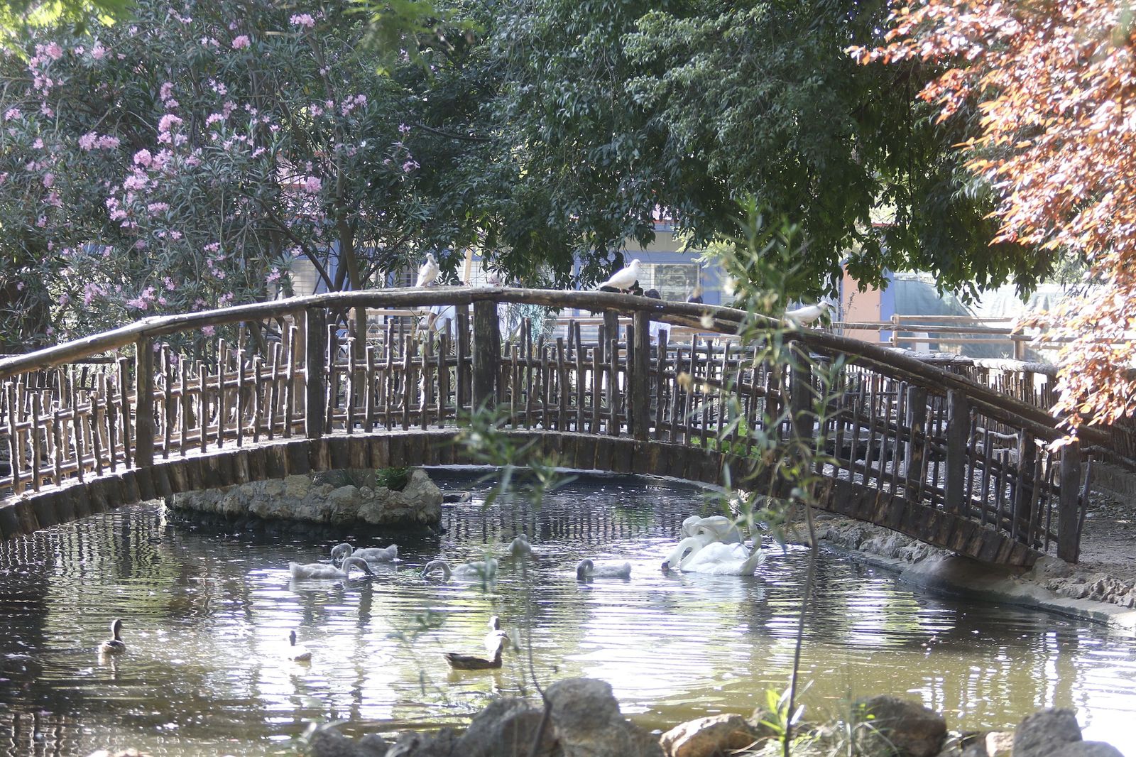 Las fotografías de la reapertura del Zoo de Córdoba tras el coronavirus
