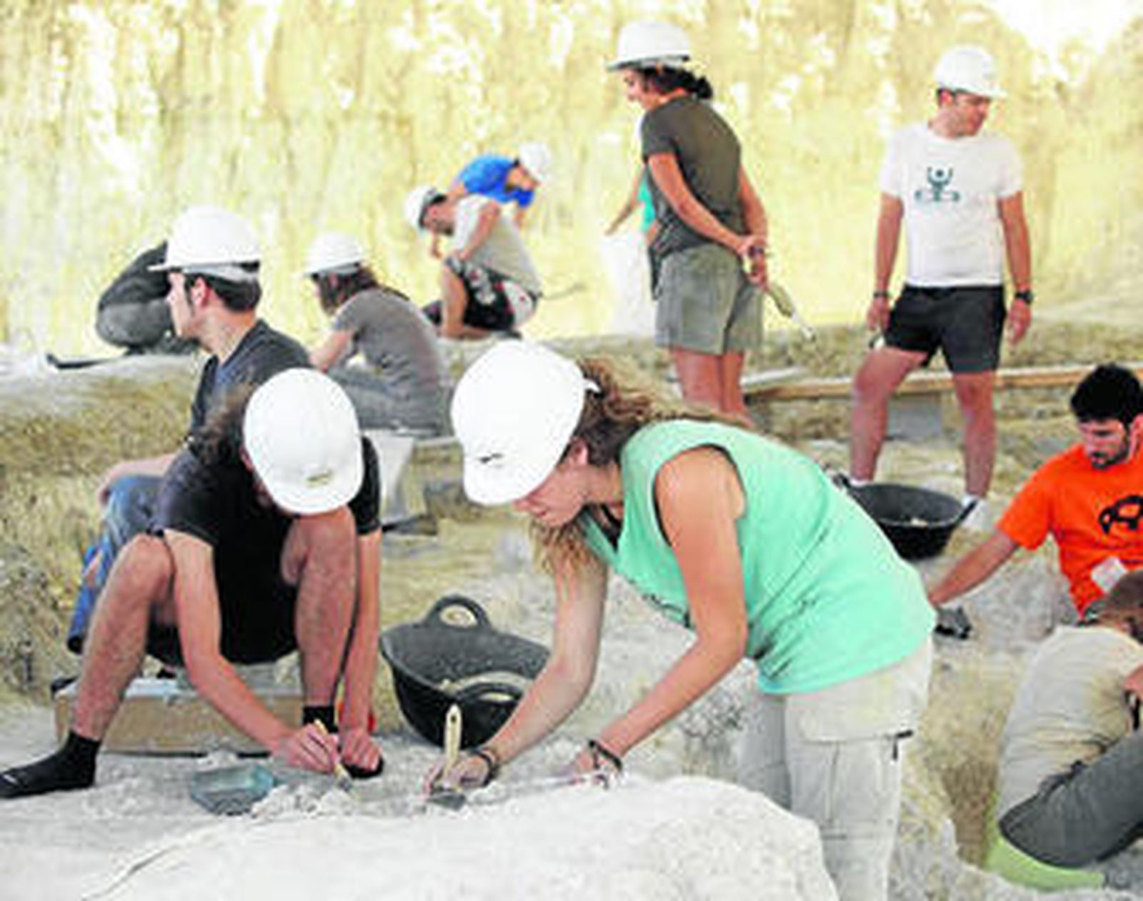Campaña de excavación del pasado verano.