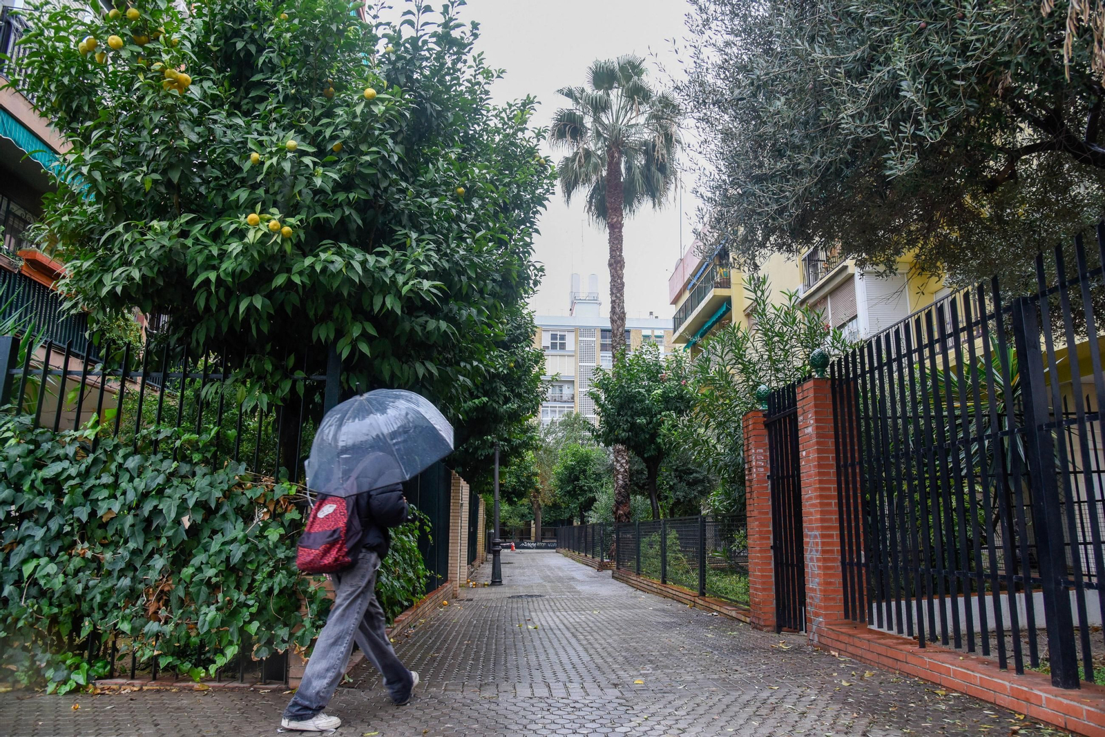 Nervión, Las Palmeritas.