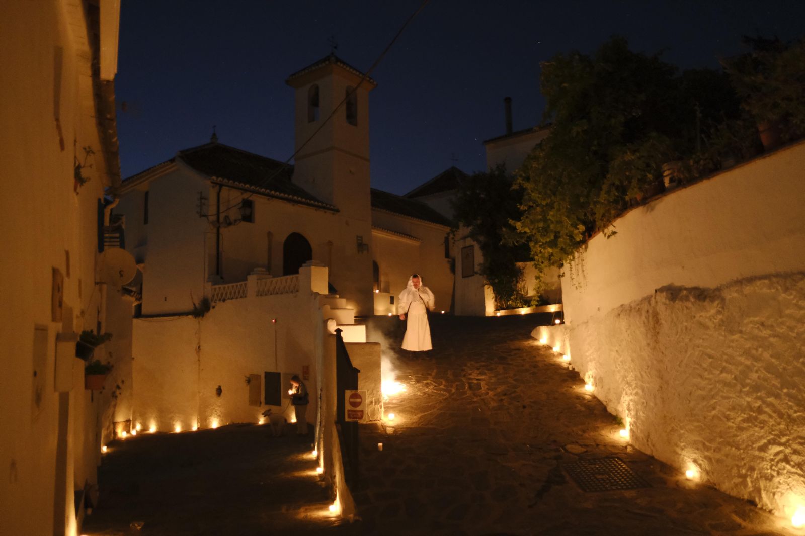 Bosque Encatando de Parauta, una noche mágica en fotos.