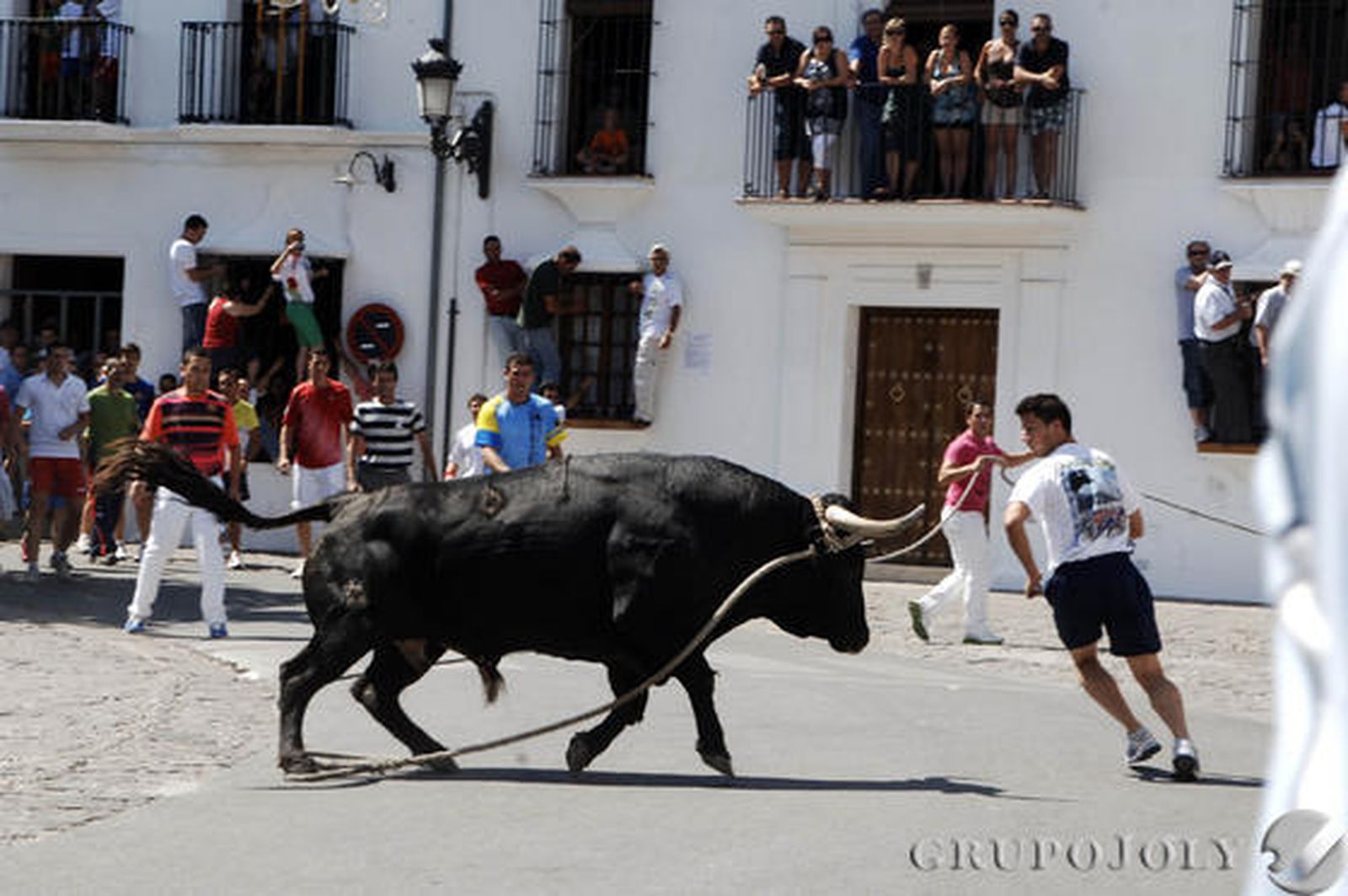 Imágenes del Toro de Cuerda