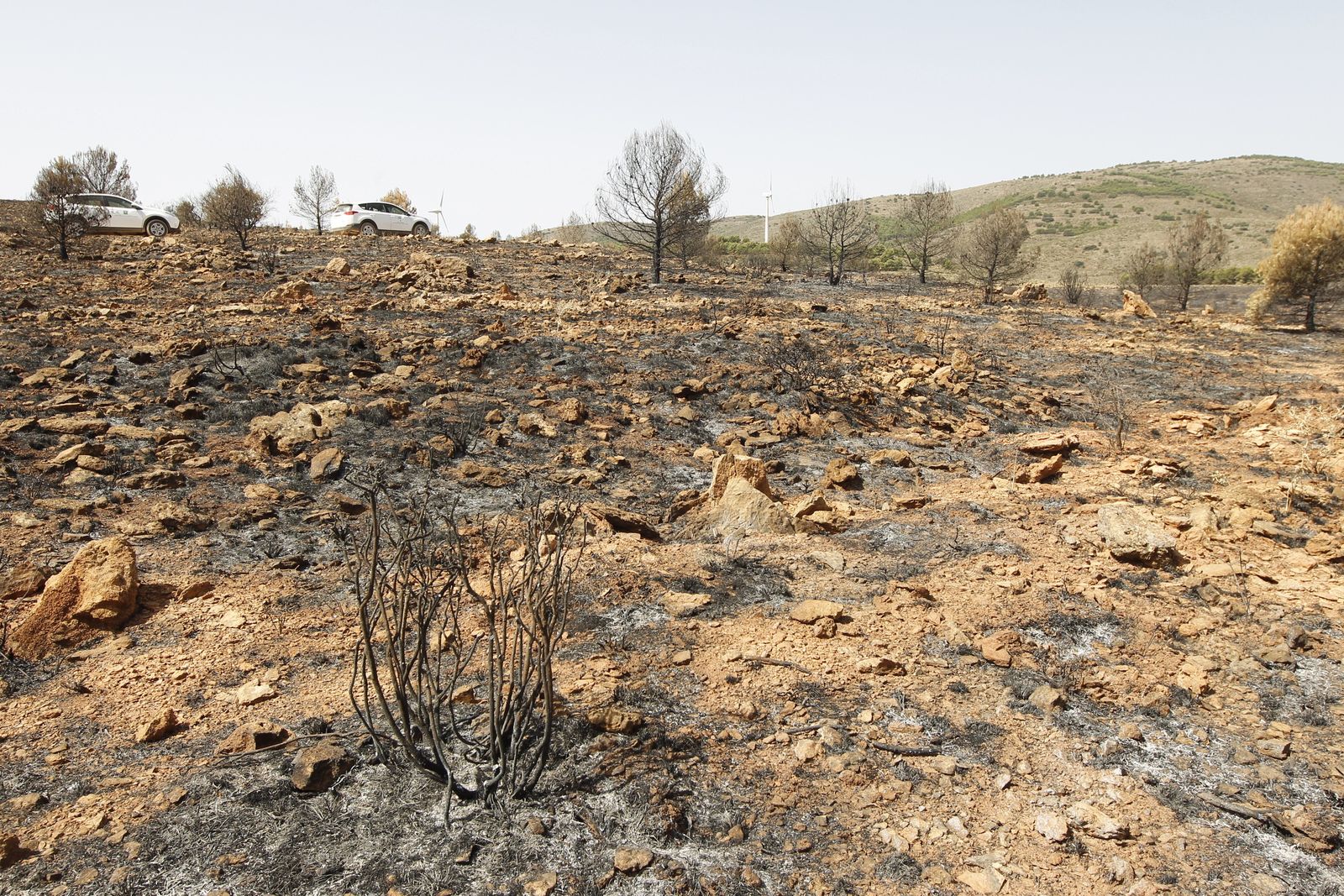 Fotogalería incendio extinguido Sierra de Gádor