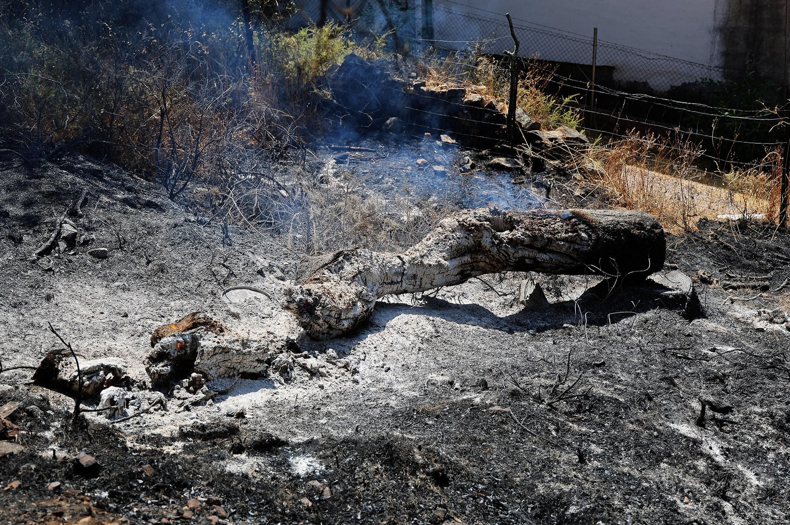 Imágenes de los vecinos de Los Romeros ya en sus casas tras el incendio