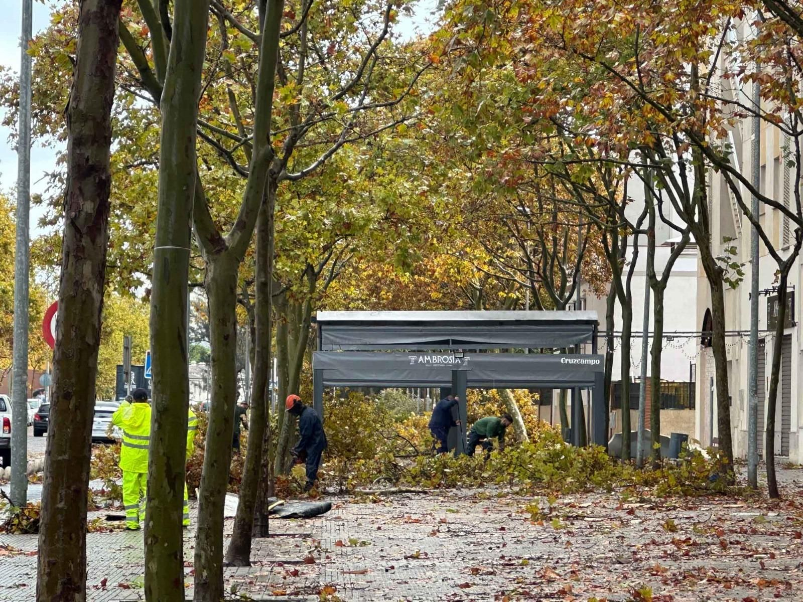Las fotografías de los destrozos provocados por la manga marina que ha cruzado Isla Cristina durante el temporal de este miércoles