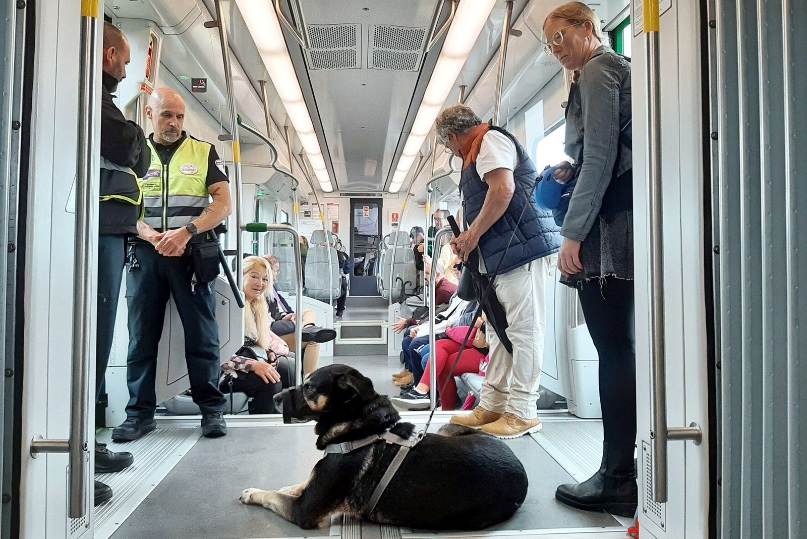 Un persona con perro guía en el interior del tranvía de la Bahía de Cádiz.