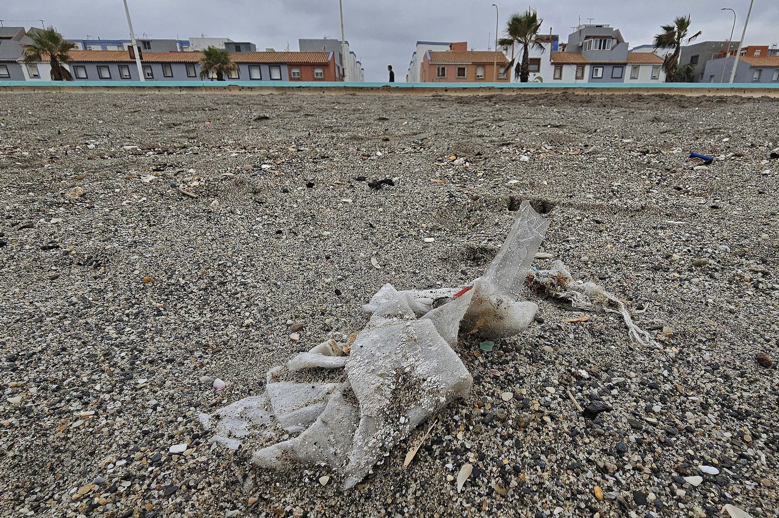 Las toallitas acumuladas en la playa de Levante de La Línea, en imágenes