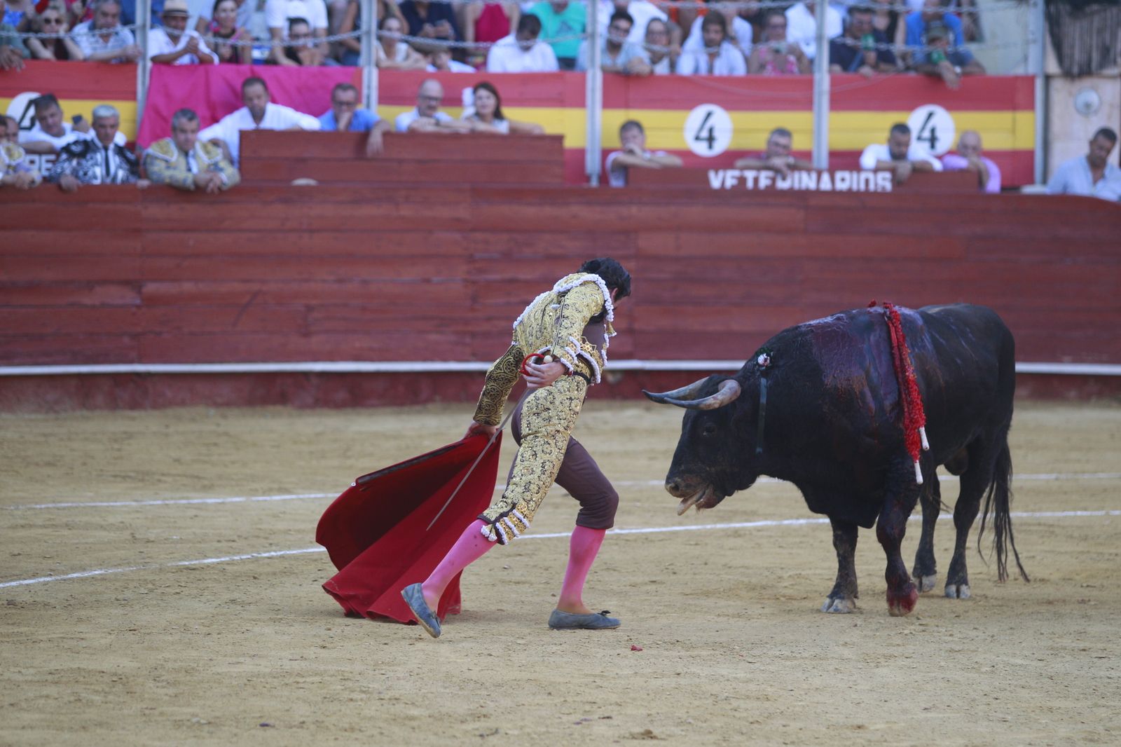 Imágenes del triunfo del torero almeriense Jorge Martínez el día de su alternativa
