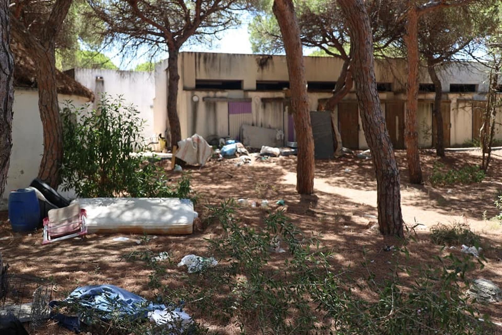 Una de las fotografías de la zona de los morabitos de la Forestal difundidas por el Ayuntamiento de Rota en julio pasado.