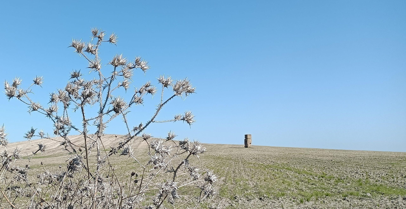 La Torre del Cincho.