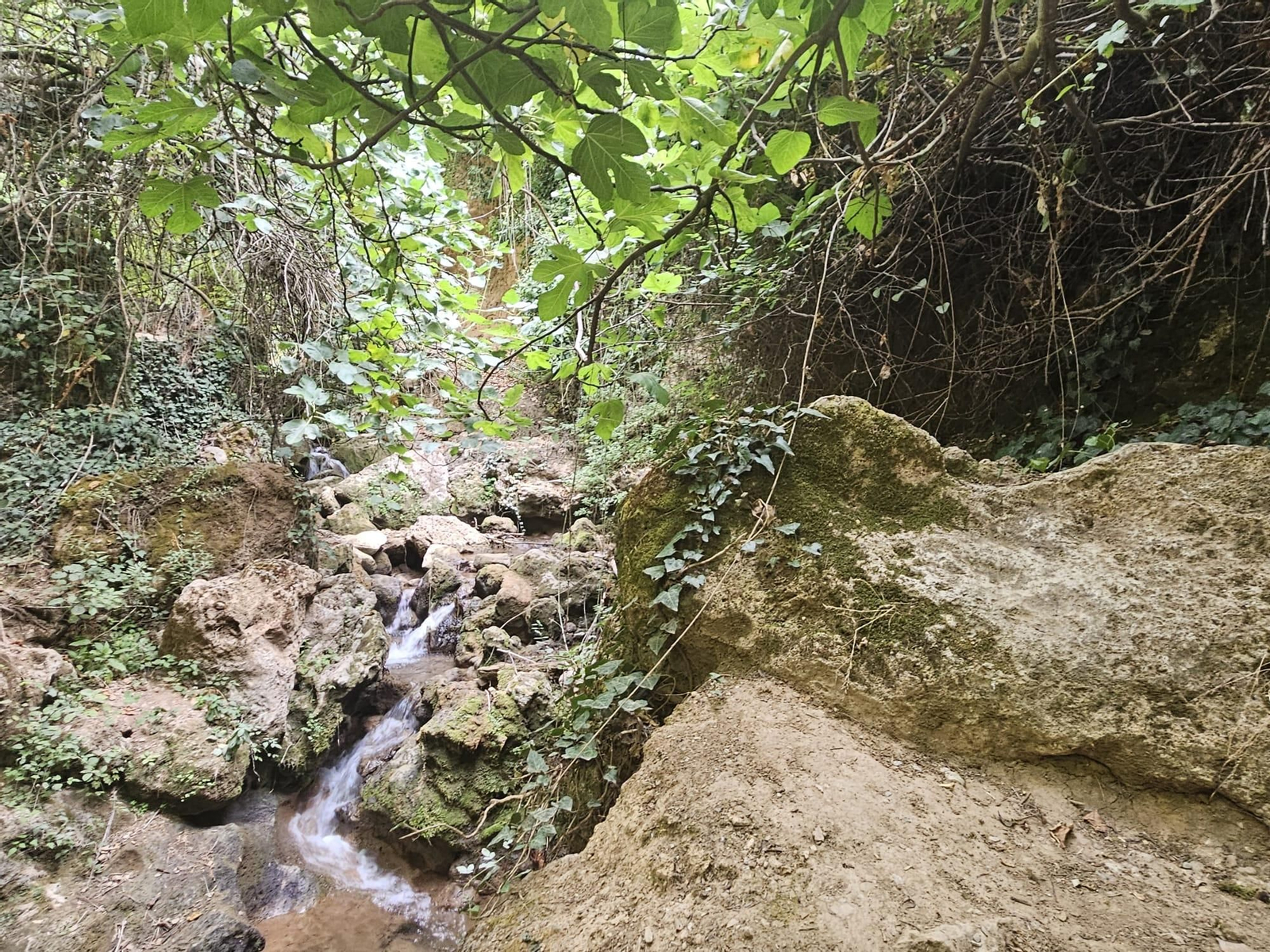 Así está en septiembre la preciosa cascada que puedes ver en Jaén