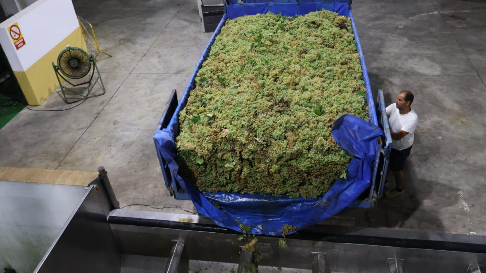 Una imagen de los trabajos en la Cooperativa.