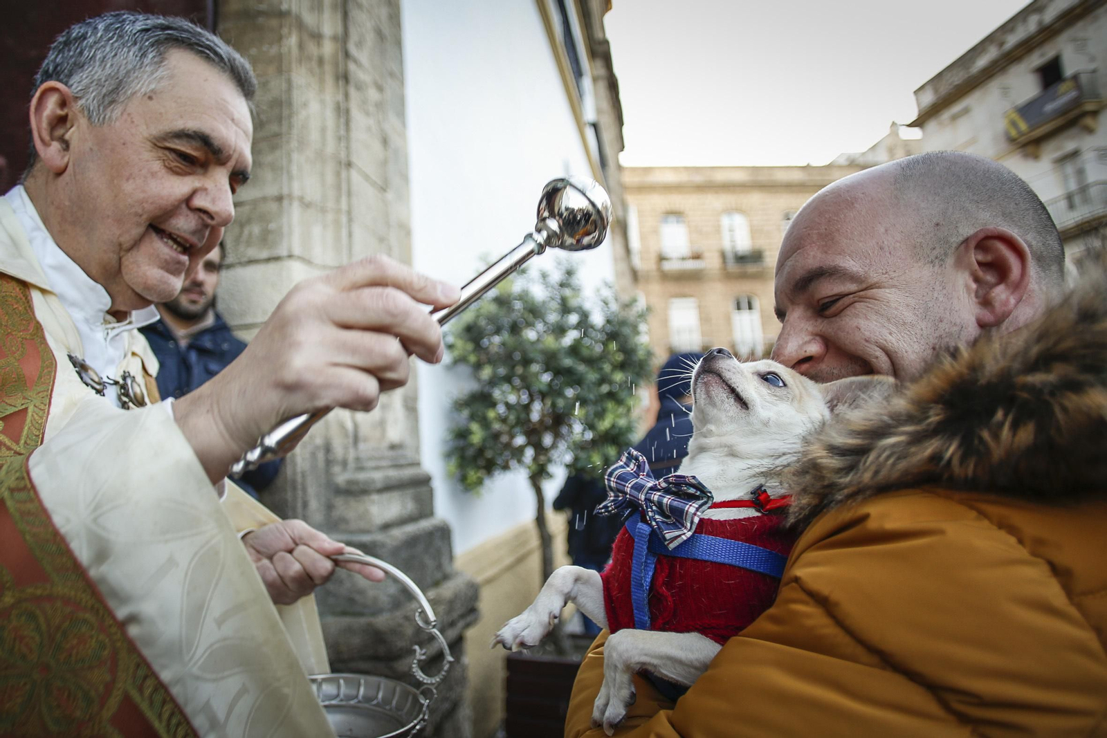Bendición de animales en Santo Domingo