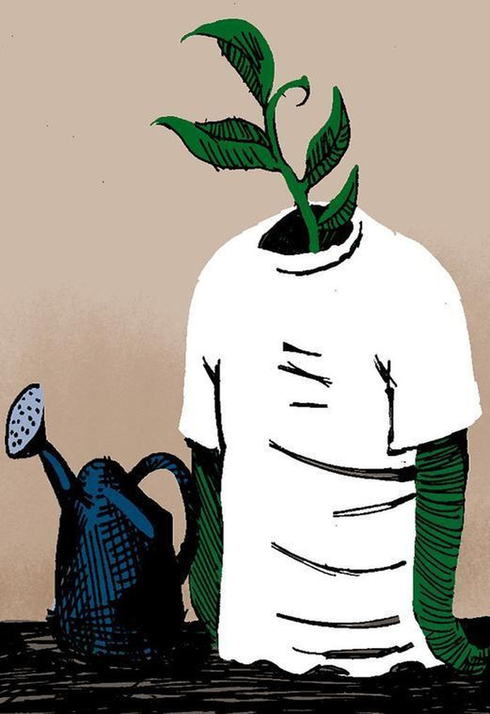 Medio ambiente y educación