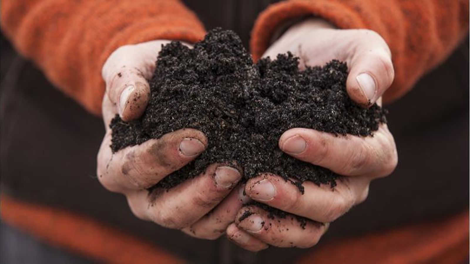 El fertilizante orgánico ayuda a cuidar a las plantas y al medio ambiente.