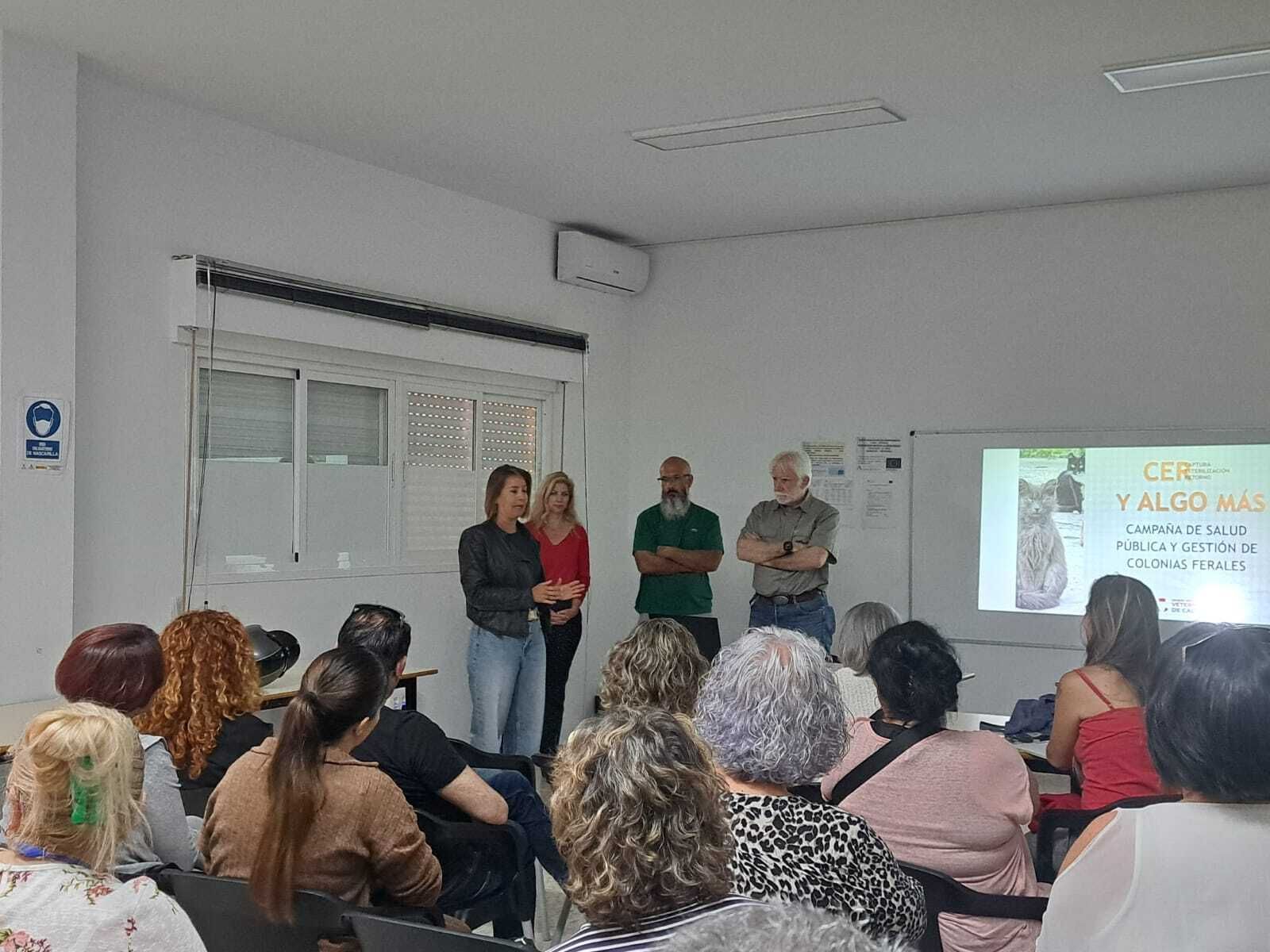 Reunión con veterinarios sobre las colonias felinas