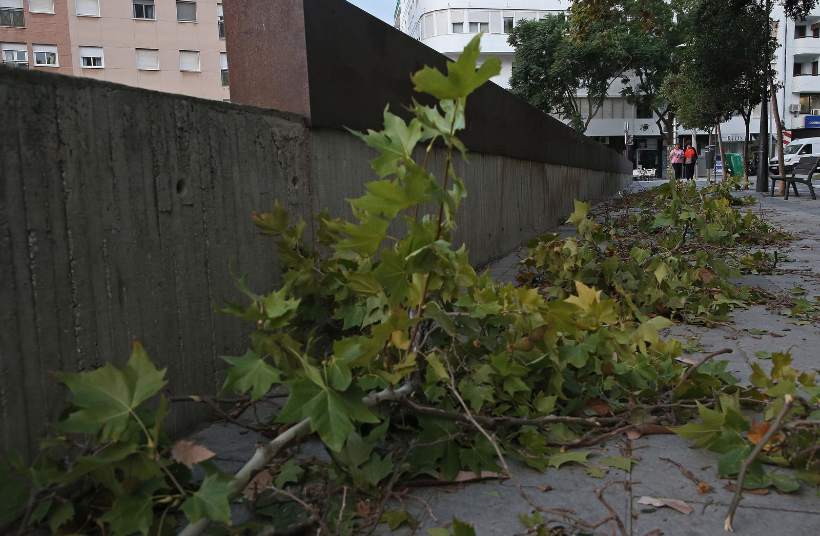 El paso de la borrasca Aline por Algeciras, en imágenes