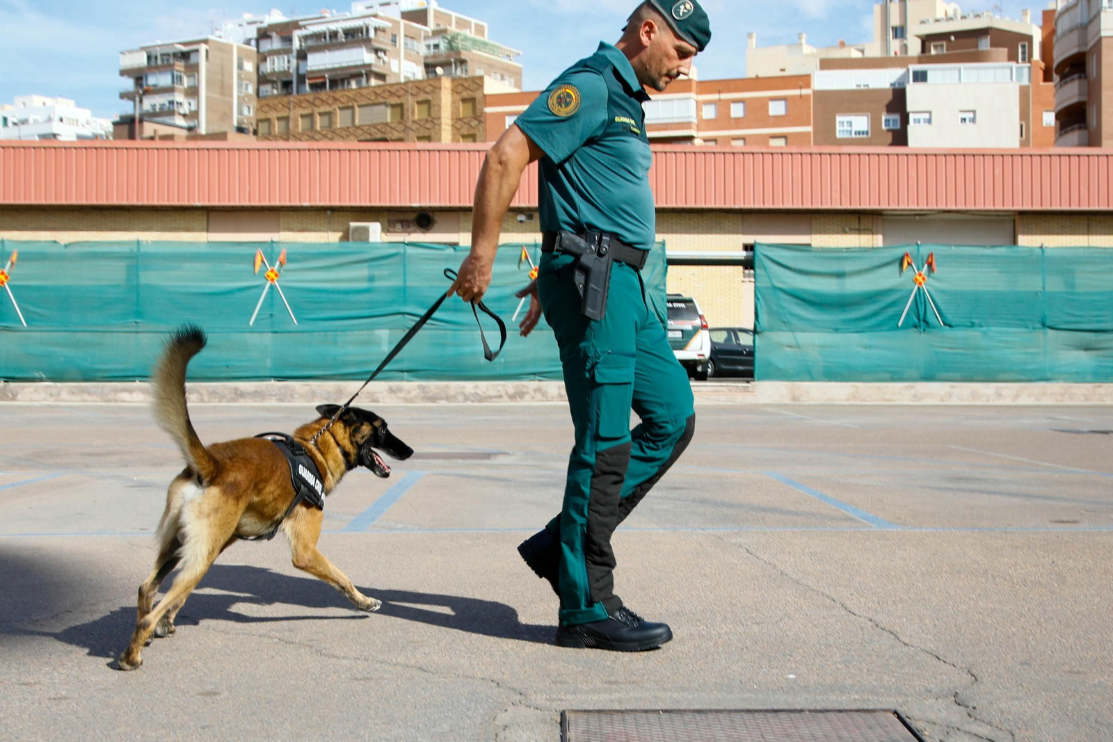 Los actos de la Guardia Civil en honor a la Virgen del Pilar, en imágenes